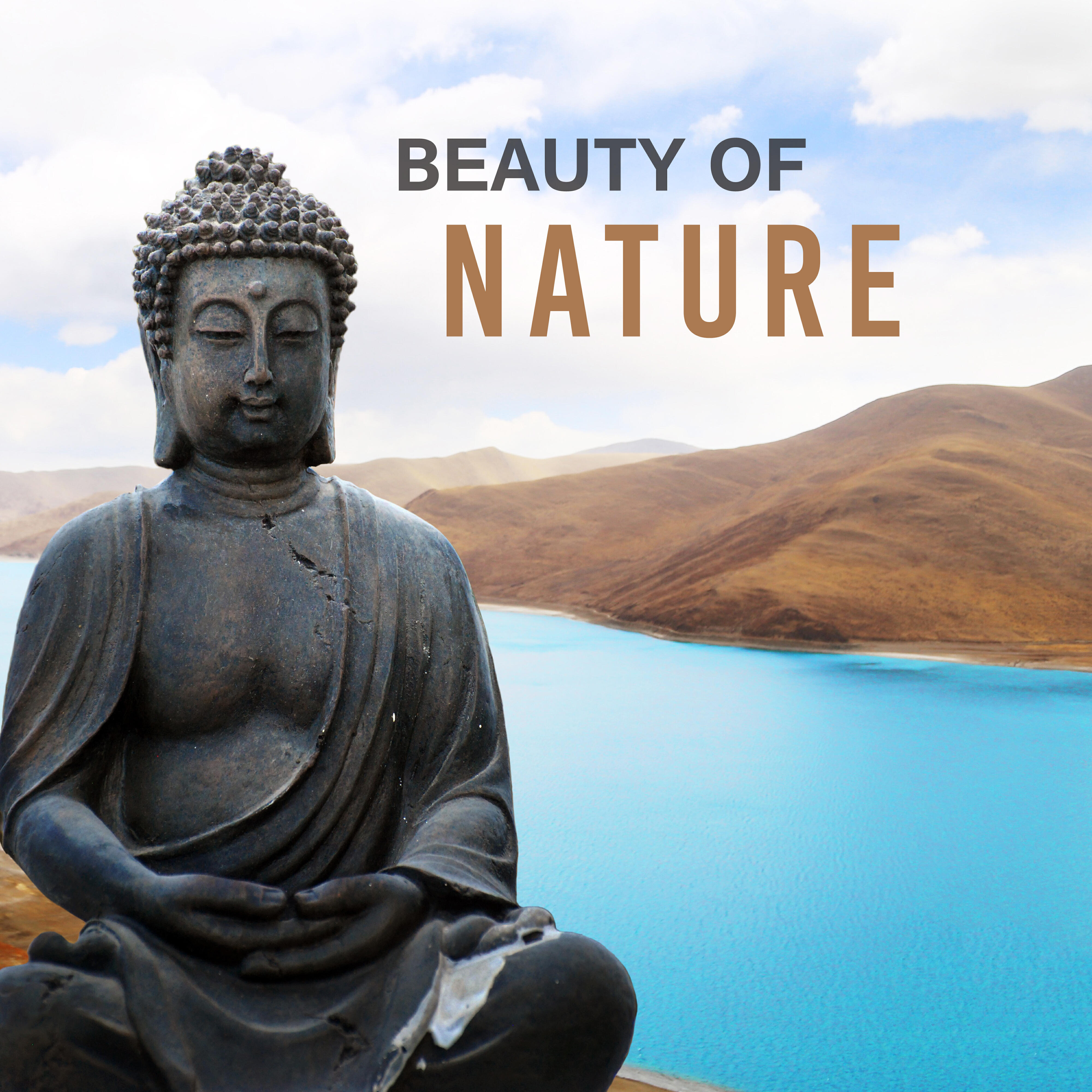 Релиз Beauty of Nature – Meditation Music, Nature Sounds, Stress Relief, Zen, Relaxation Music, Training Yoga, Tranquility & Harmony