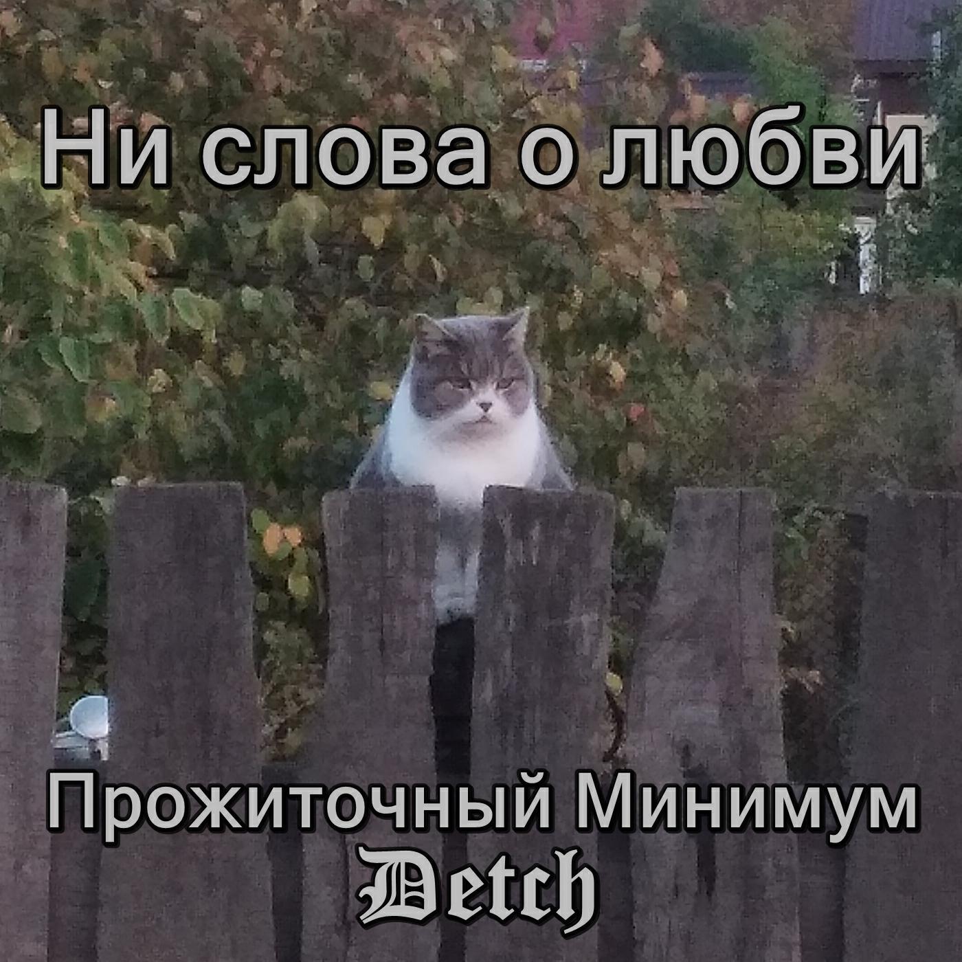 Релиз Ни слова о любви