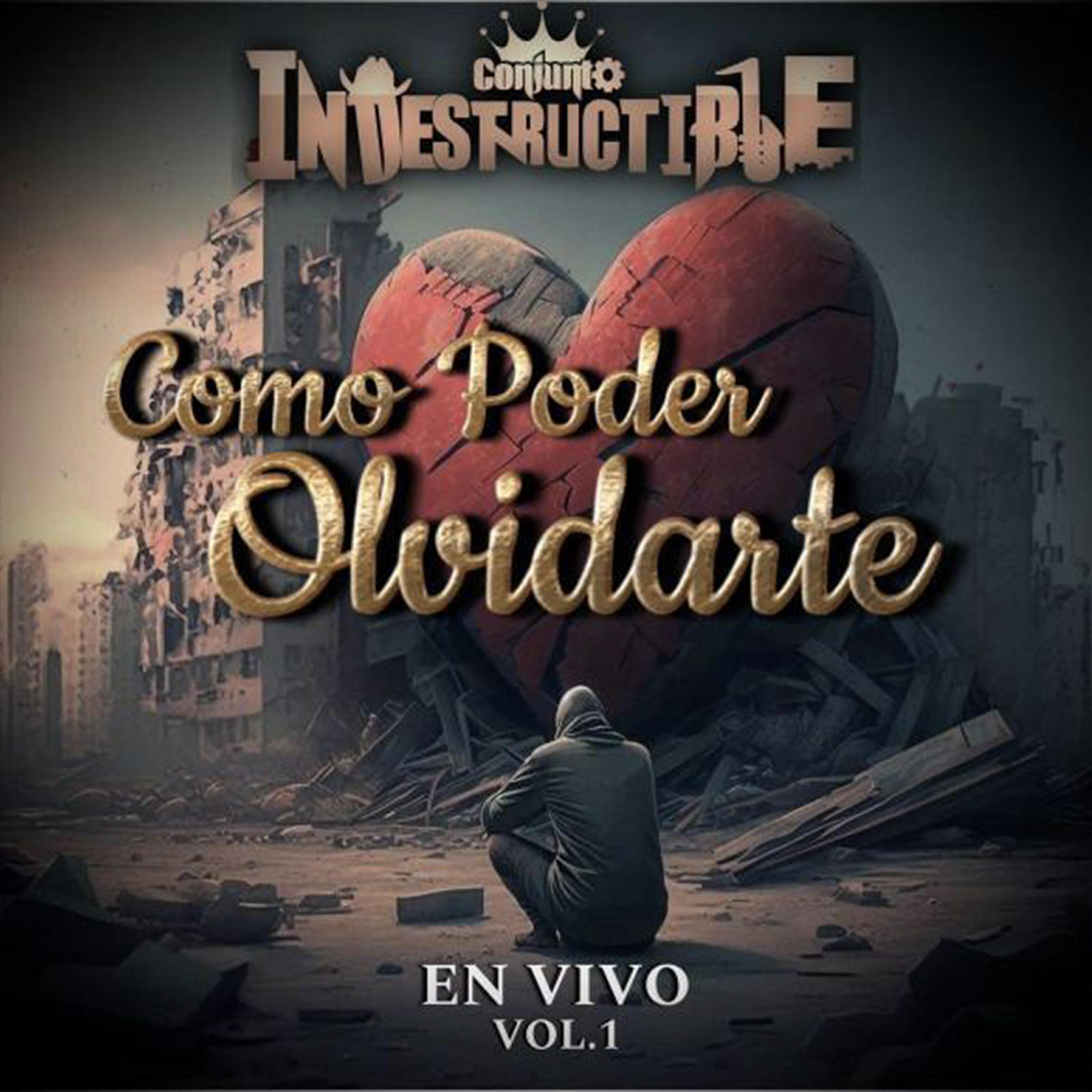 Conjunto indestructible