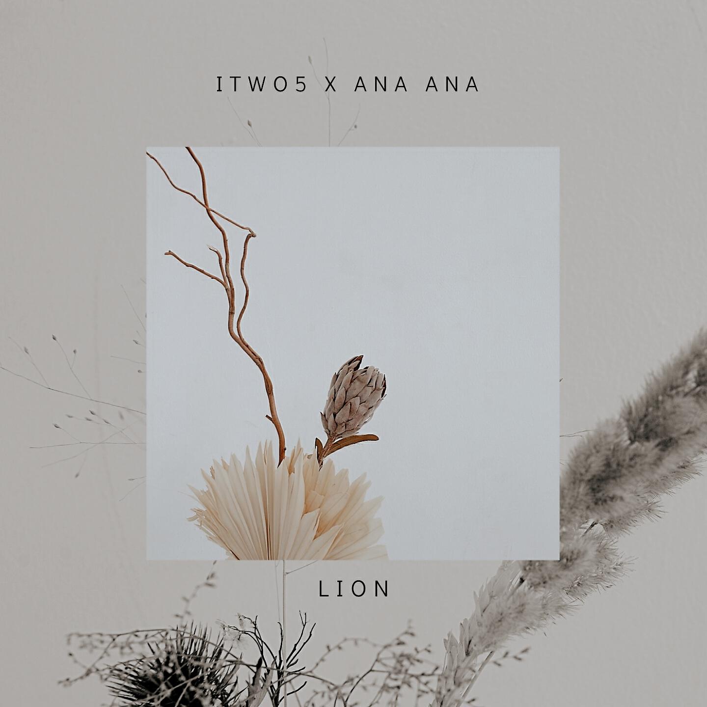 Релиз Lion