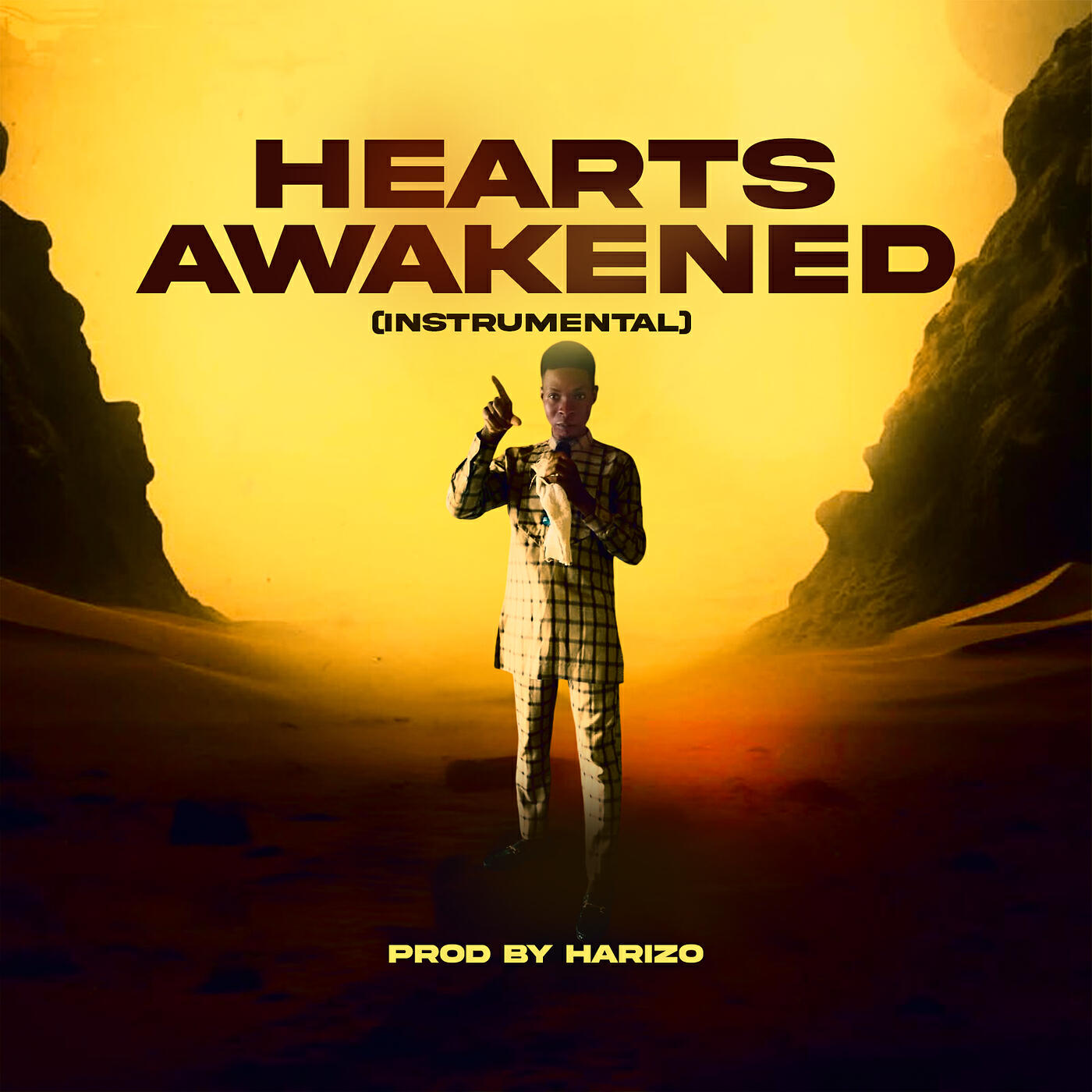 Релиз Hearts Awakened (Instrumental)