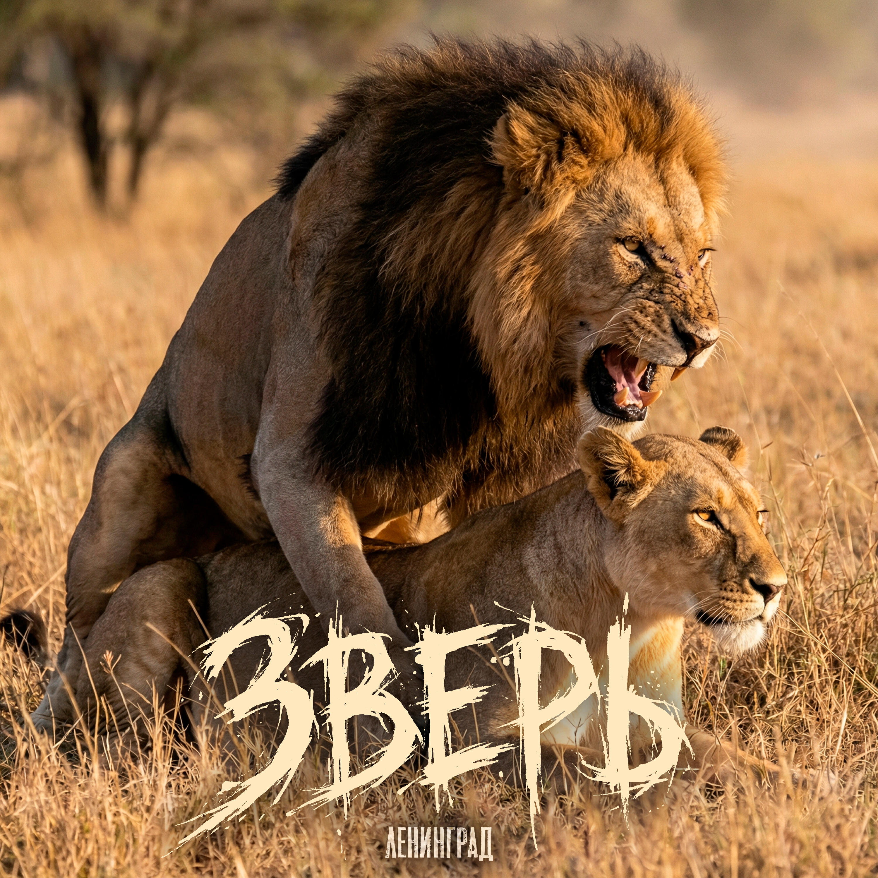 Релиз Зверь
