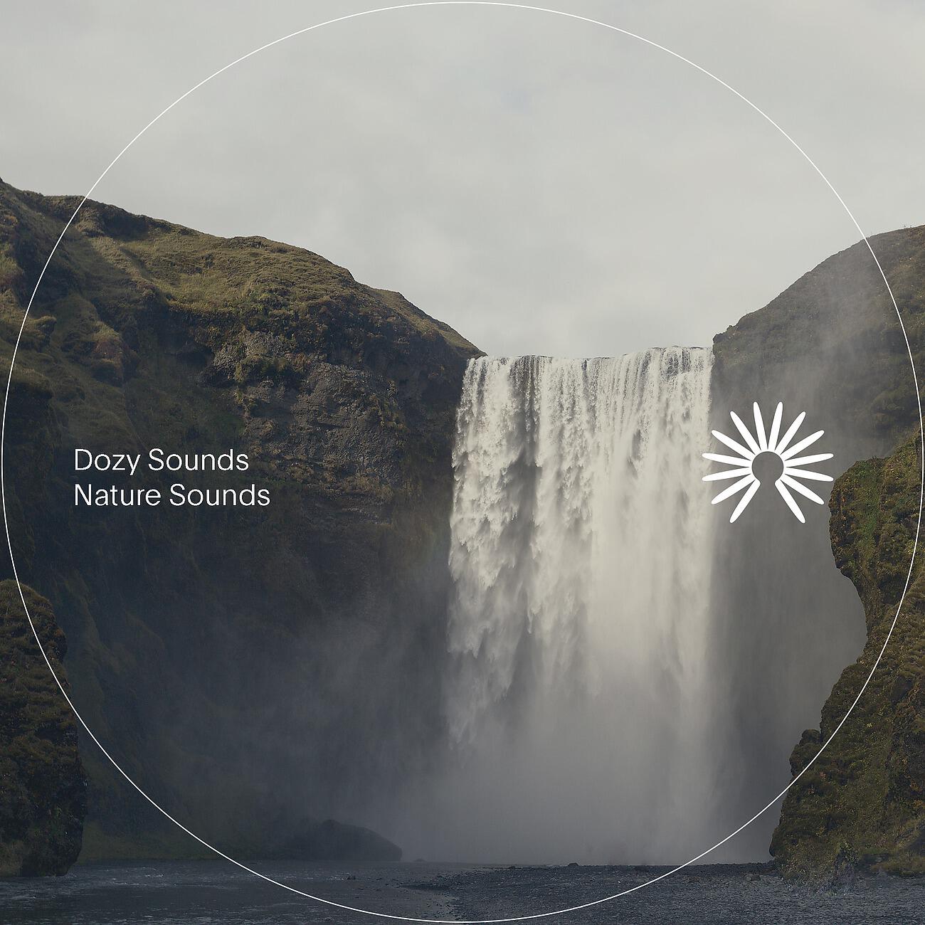 Релиз Nature Sounds