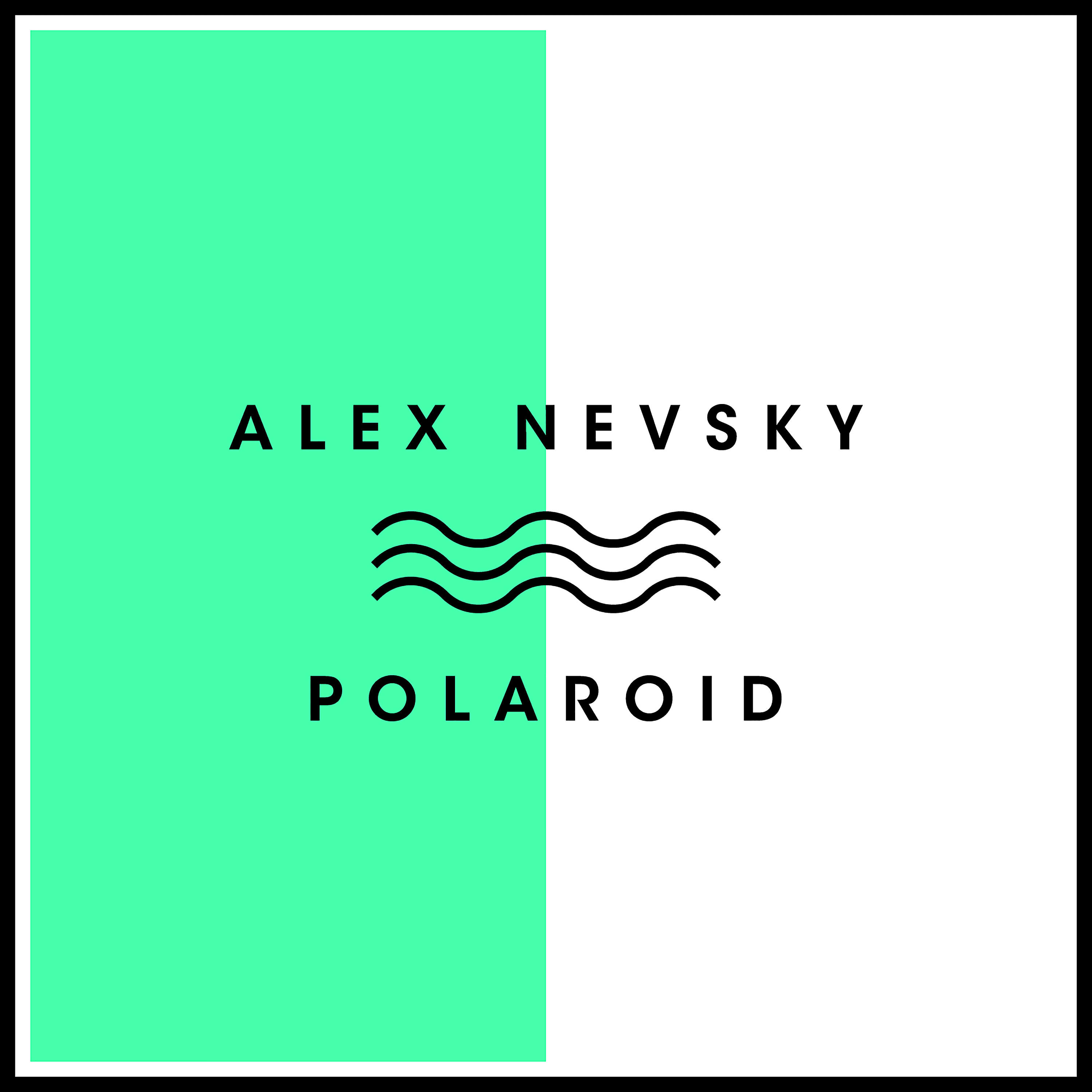 Релиз Polaroid