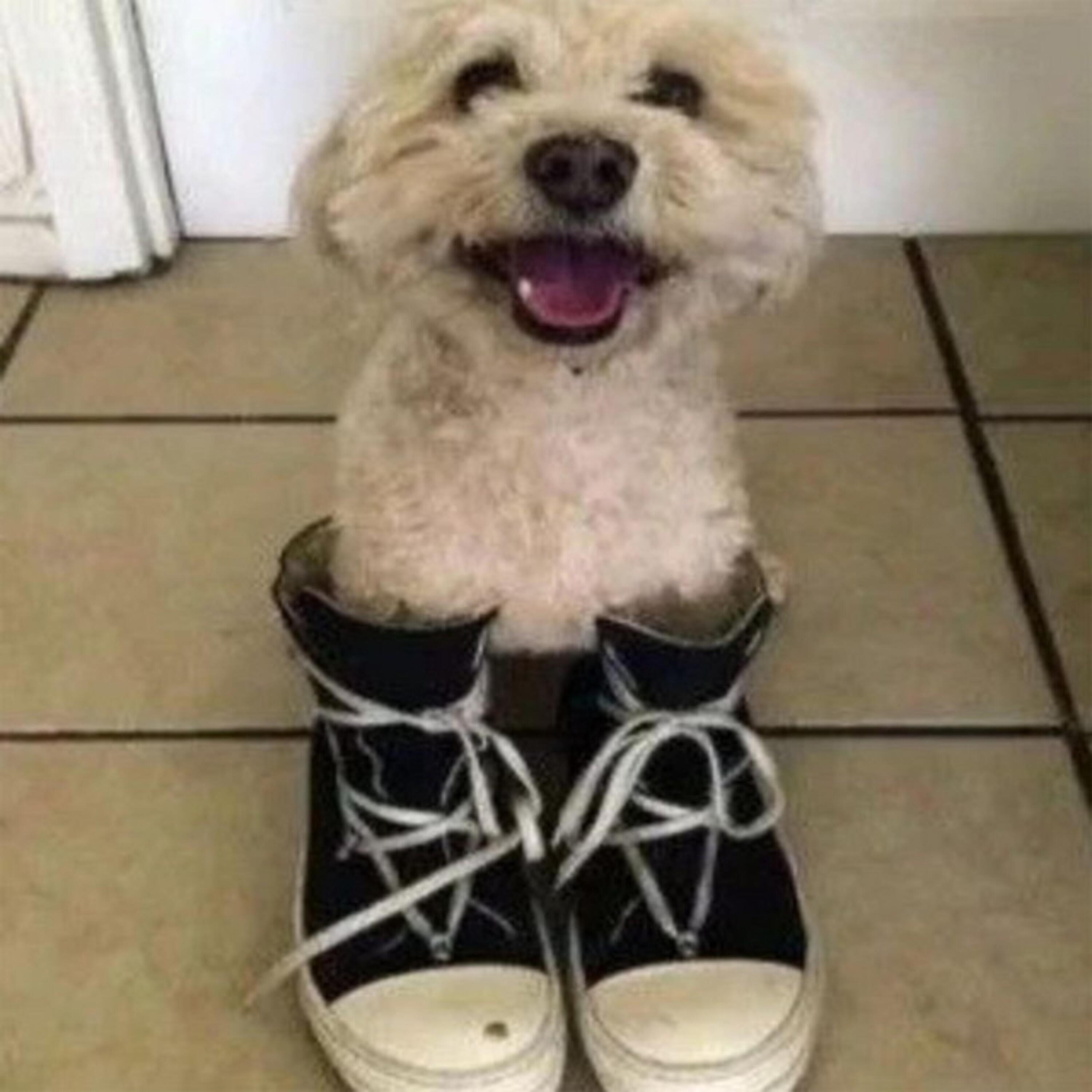 Релиз margiela!