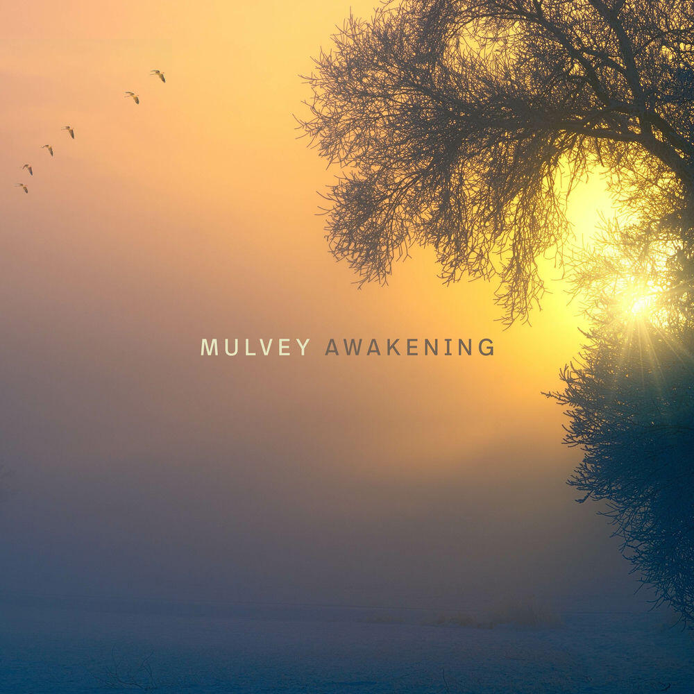 Релиз Awakening