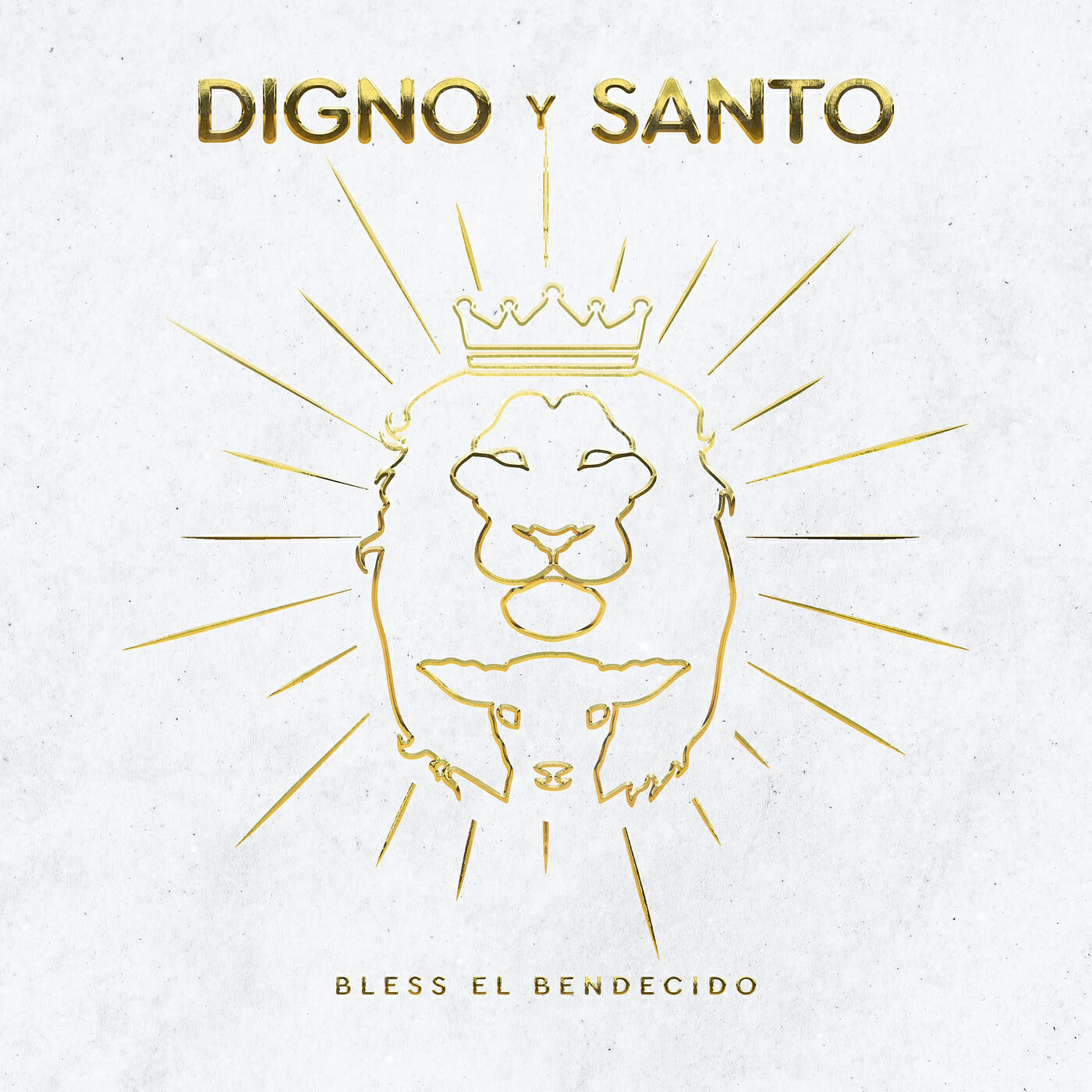 Релиз Digno Y Santo