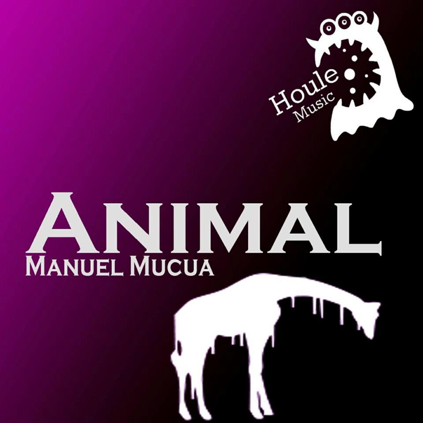 Релиз Animal