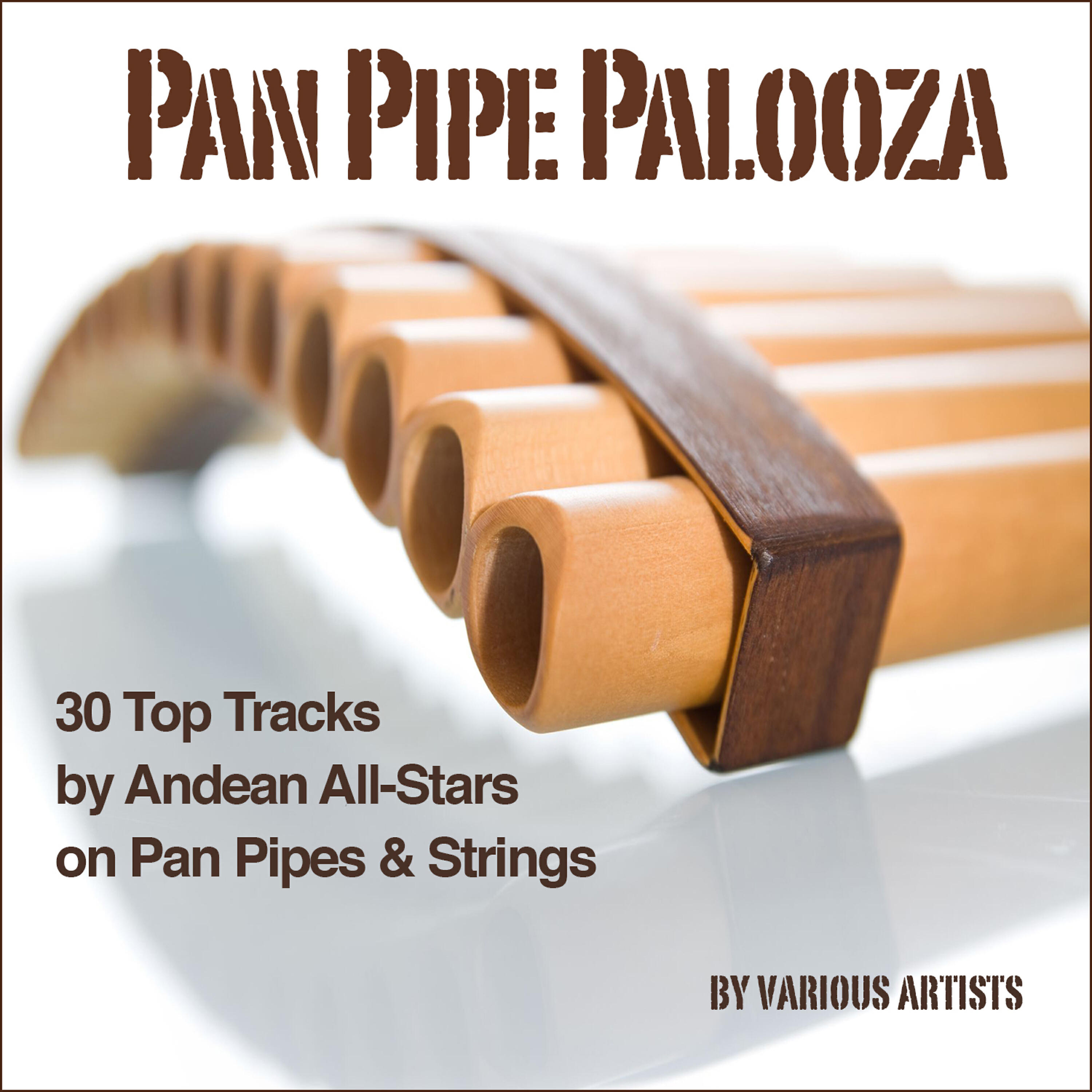 Релиз Pan Pipe Palooza (30 Tracks by Andean All-Stars on Pan Pipes & Strings)