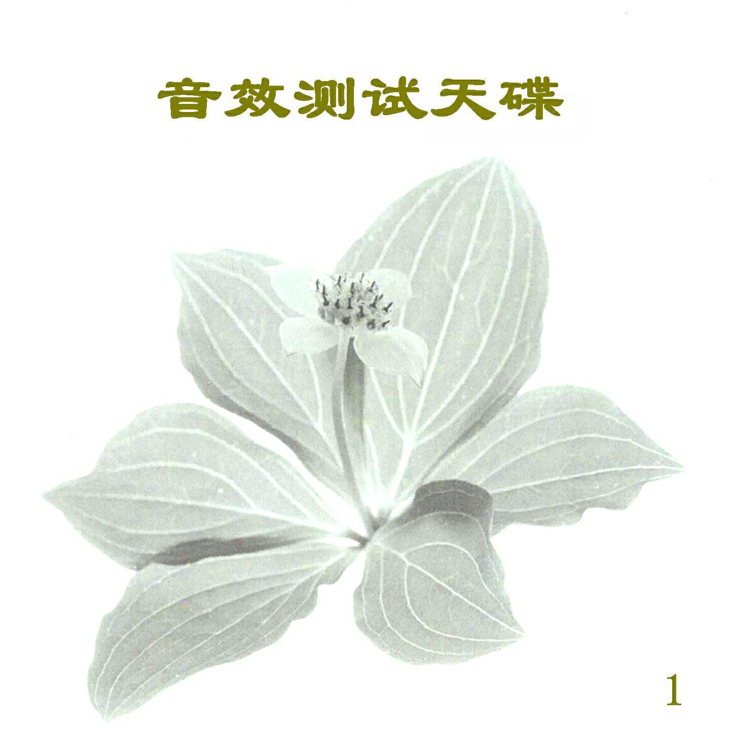 新时代乐队
