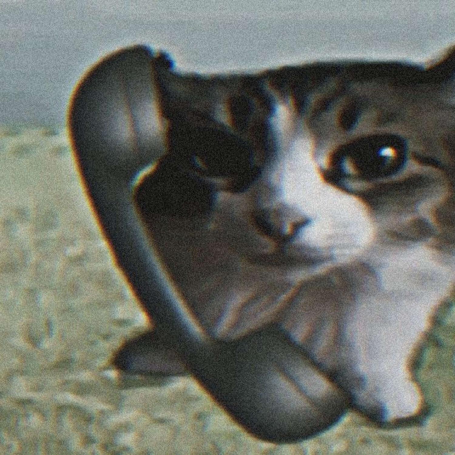 K U Z X N
