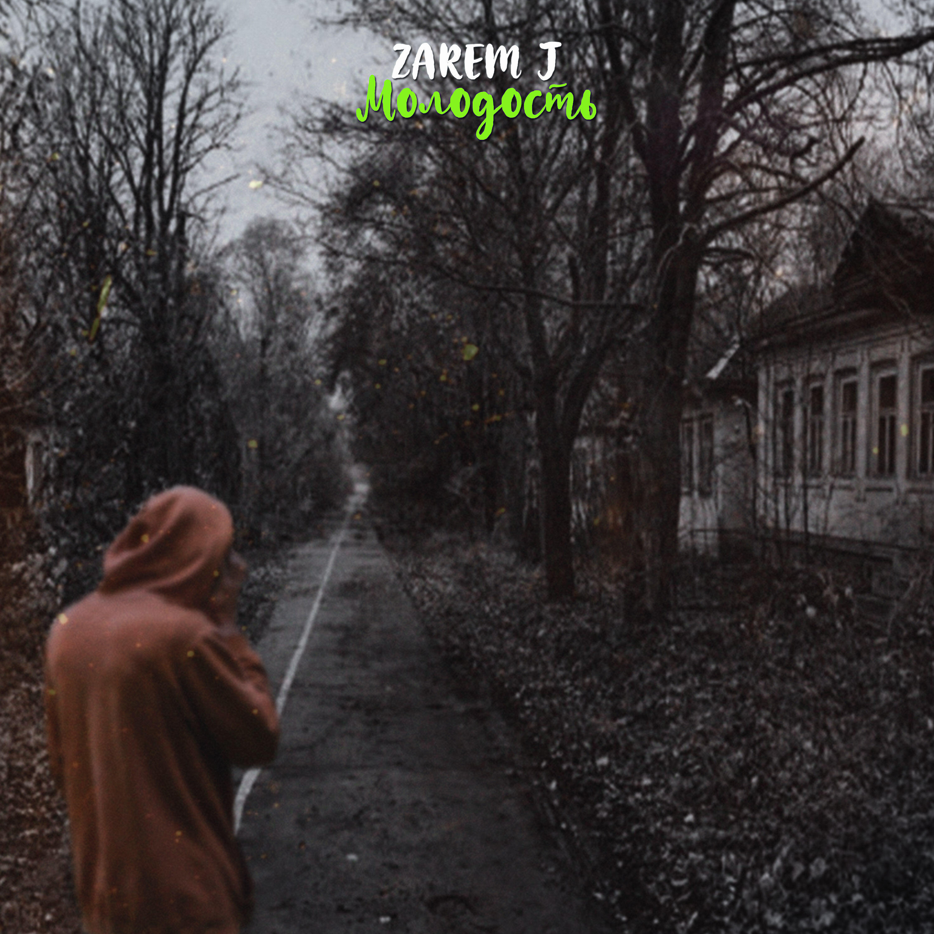 Zarem J