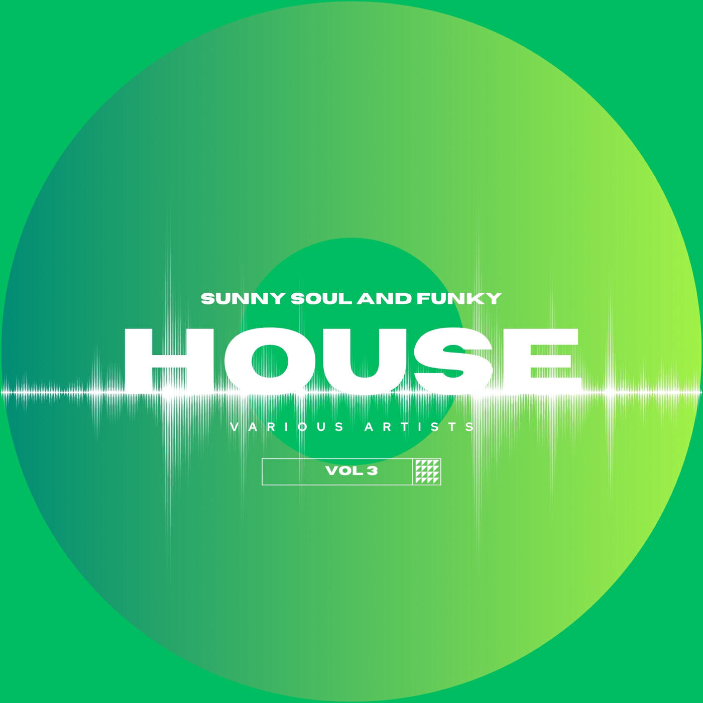 Релиз Sunny Soul And Funky House, Vol. 3