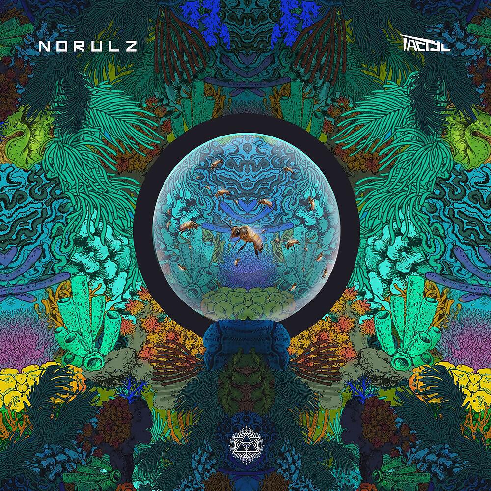 Релиз Norulz