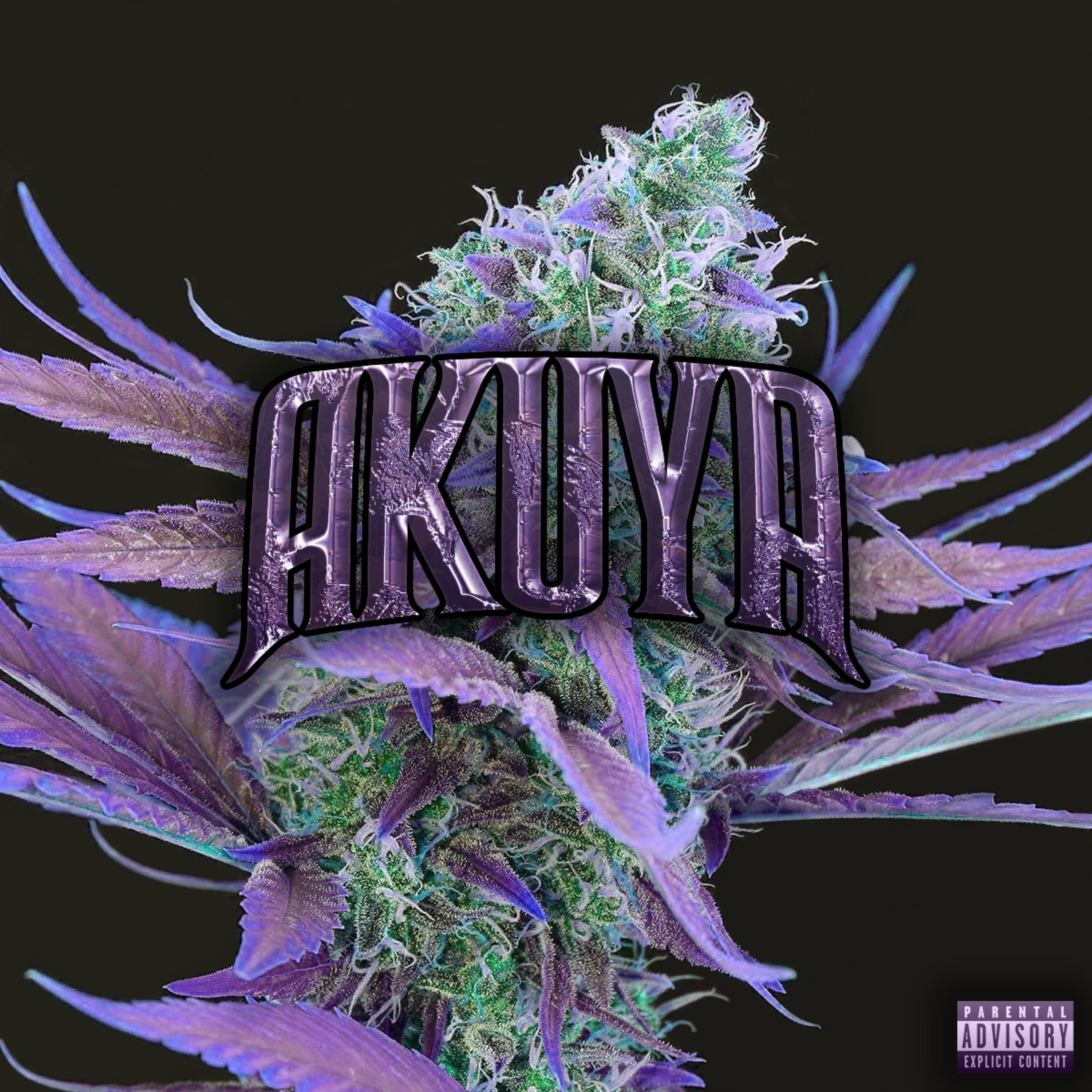 Релиз PURPLE HAZE