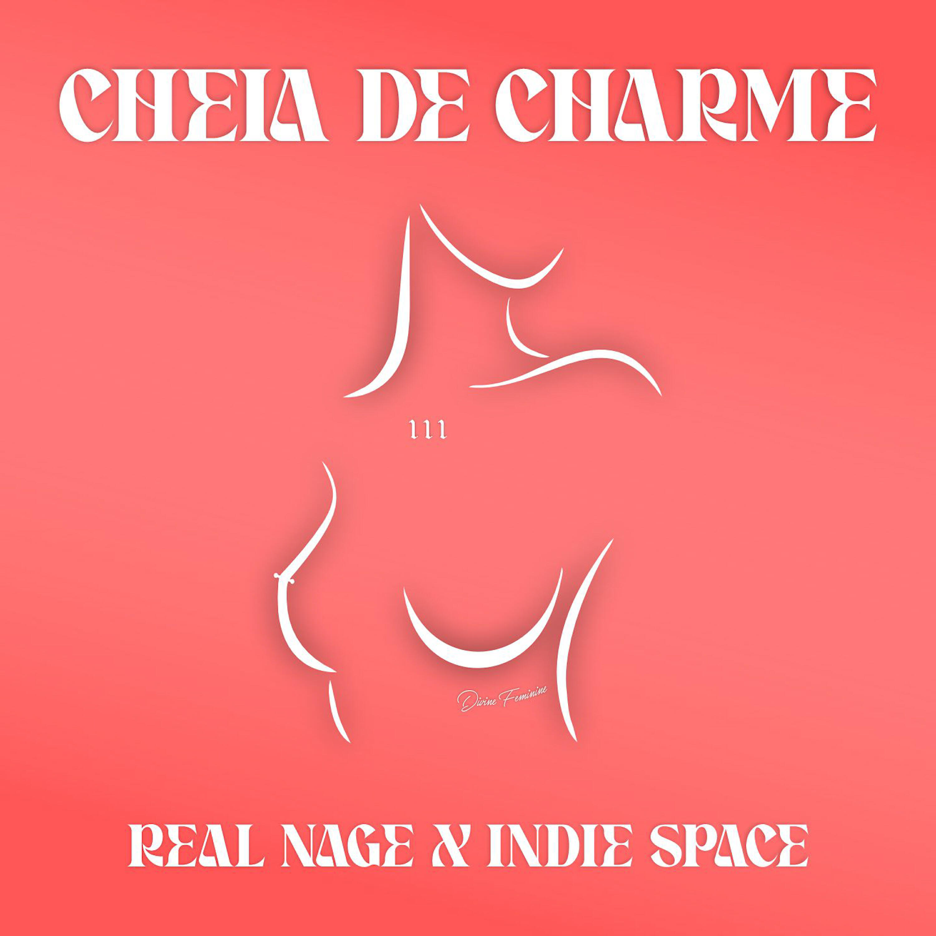 Релиз Cheia de charme
