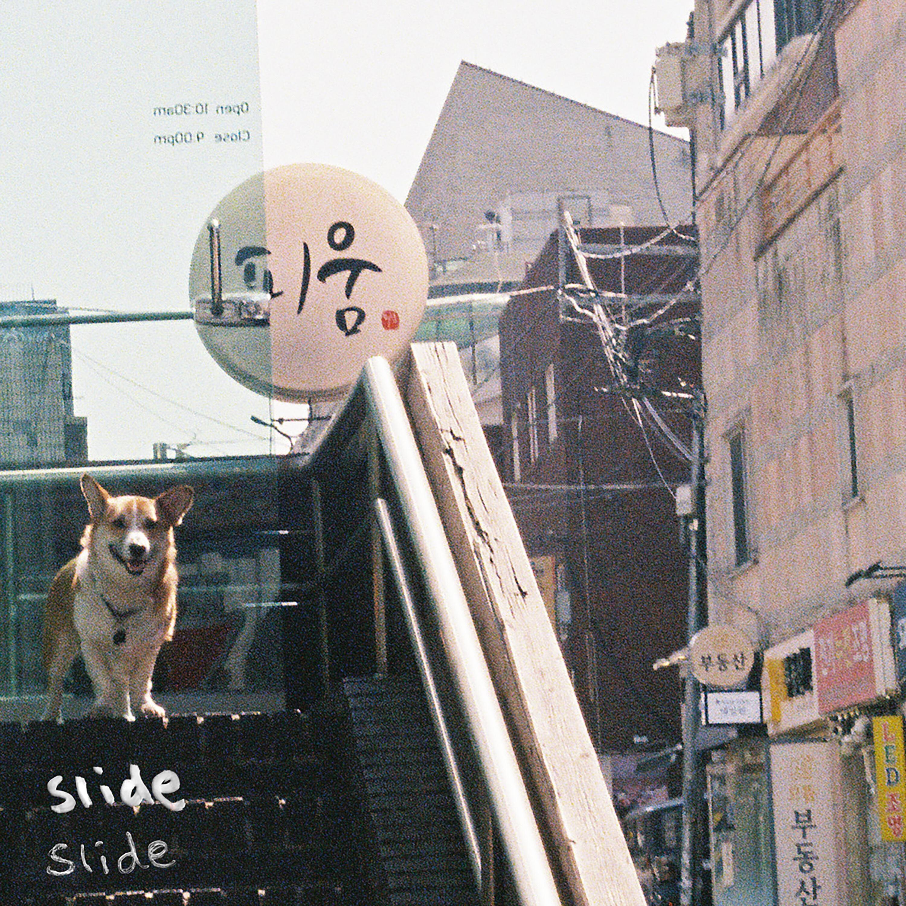 Релиз slide