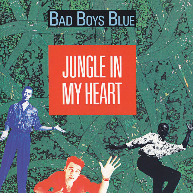 Релиз Jungle in My Heart