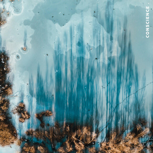 Релиз Conscience