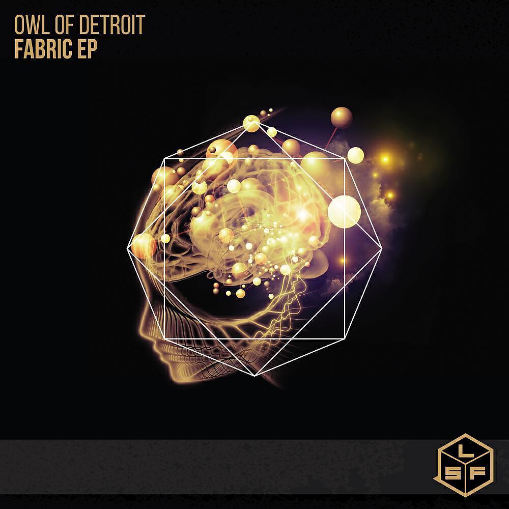 Owl Of Detroit