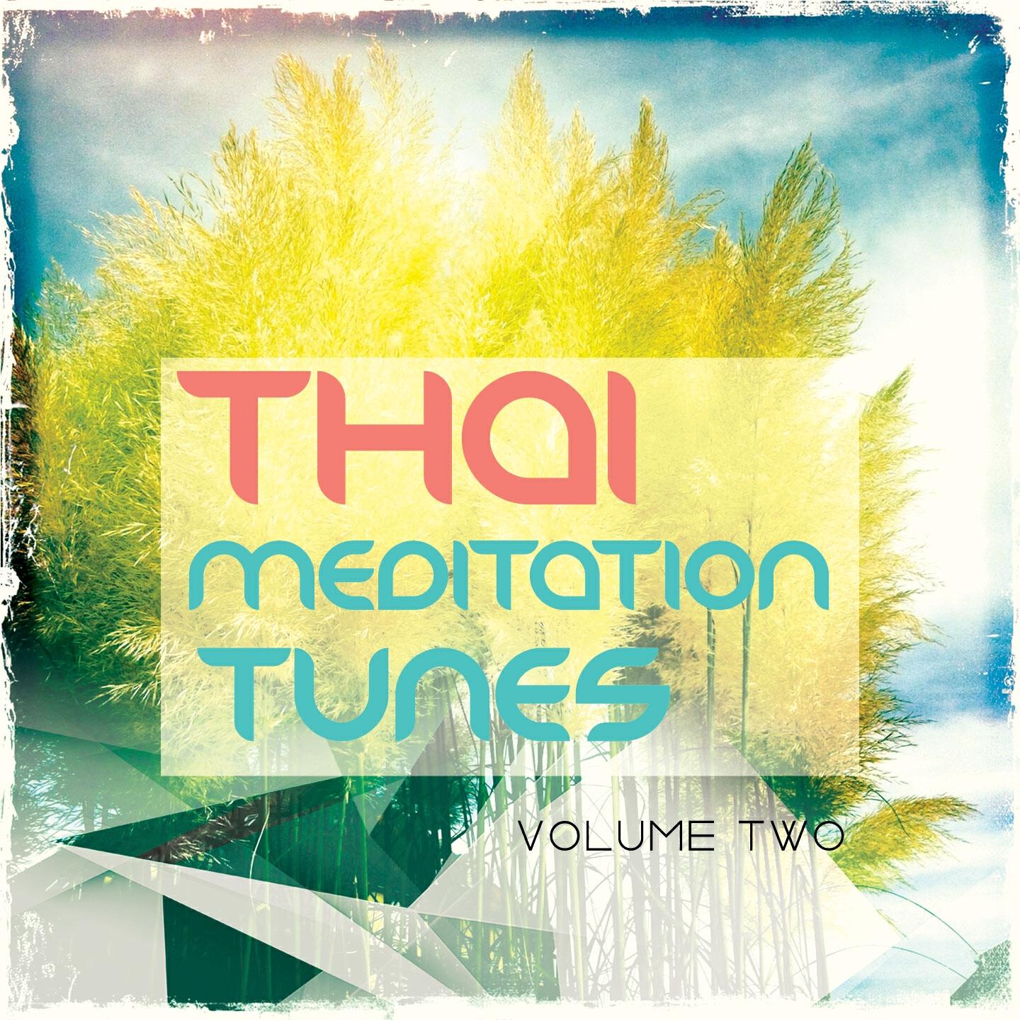 Релиз Thai Meditation Tunes - Vipassana Session, Vol. 2