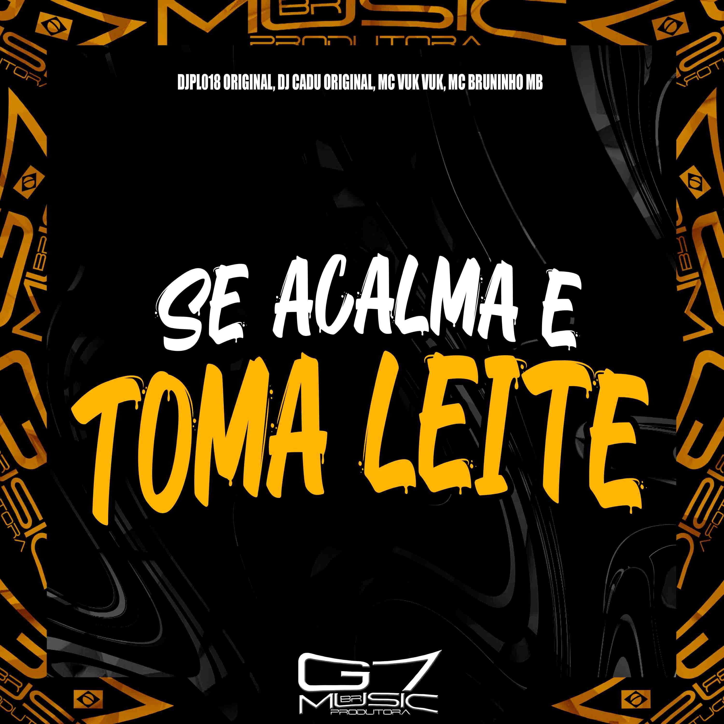 Скачать песню DJPL018 ORIGINAL, DJ Cadu Original, MC Vuk Vuk, MC Bruninho MB - Se Acalma e Toma Leite бесплатно в MP3 для Android и iOS