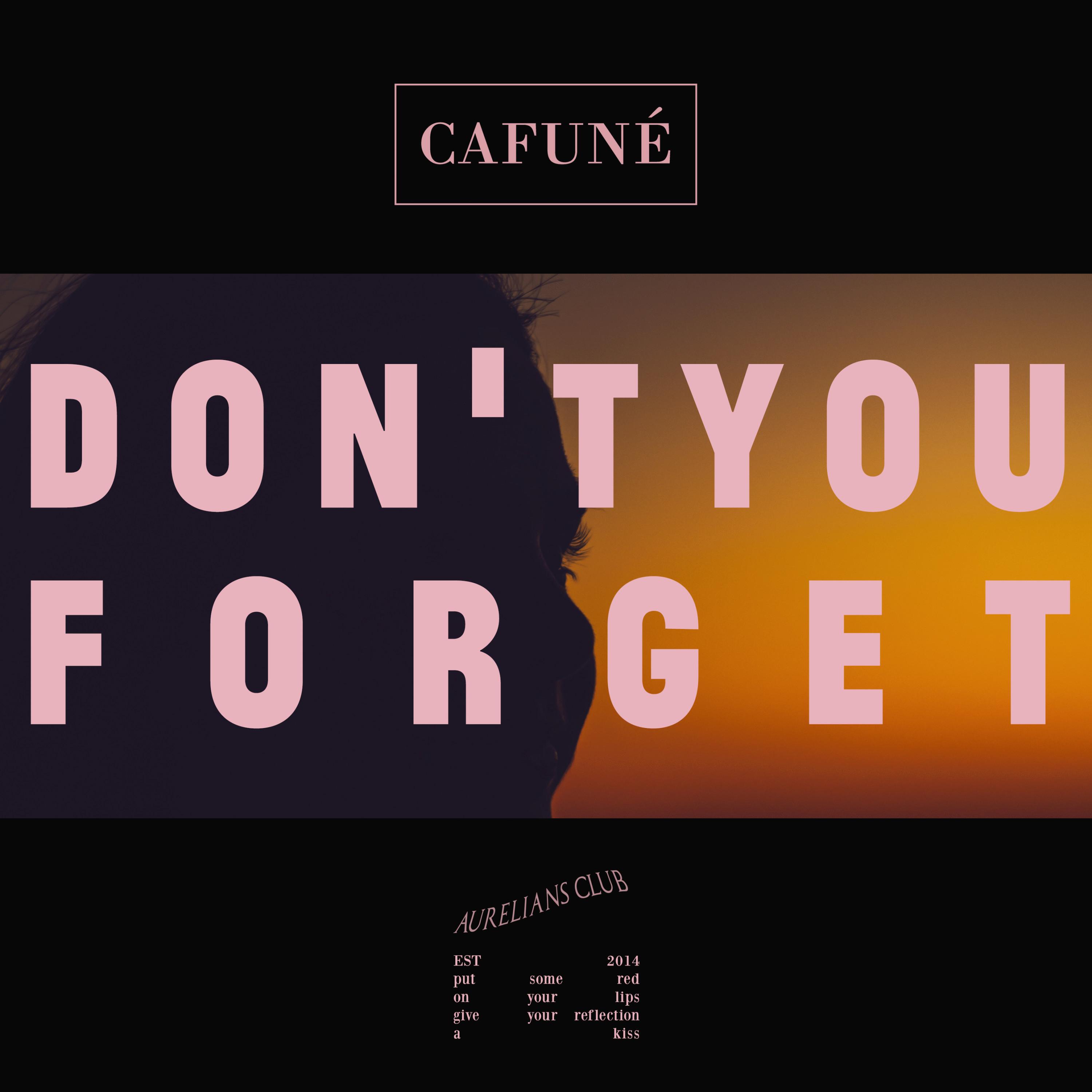 Релиз Don't You Forget