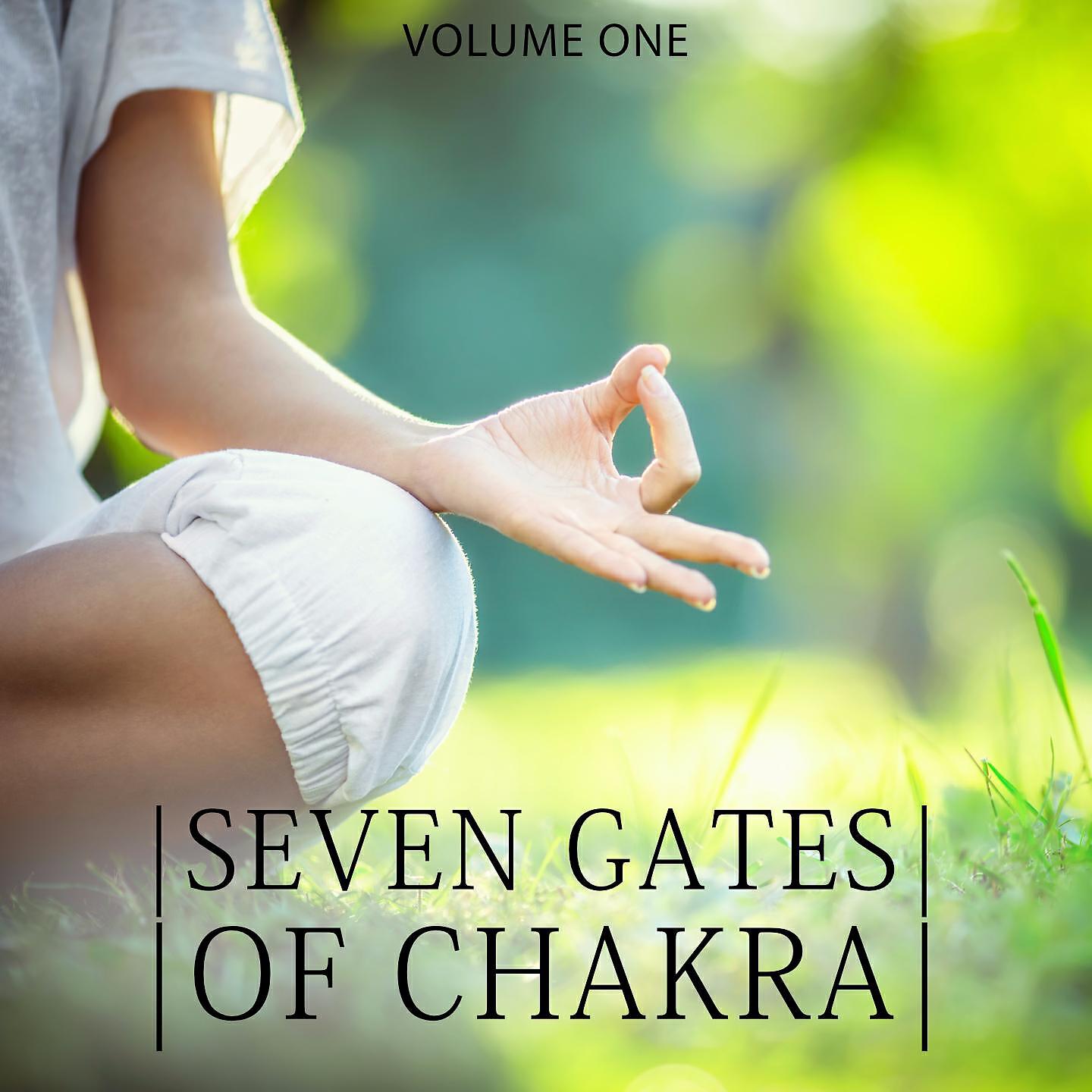 Релиз Seven Gates Of Chakra, Vol. 1