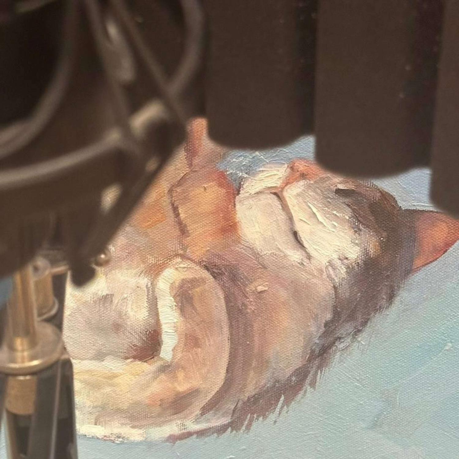 Вторые сутки