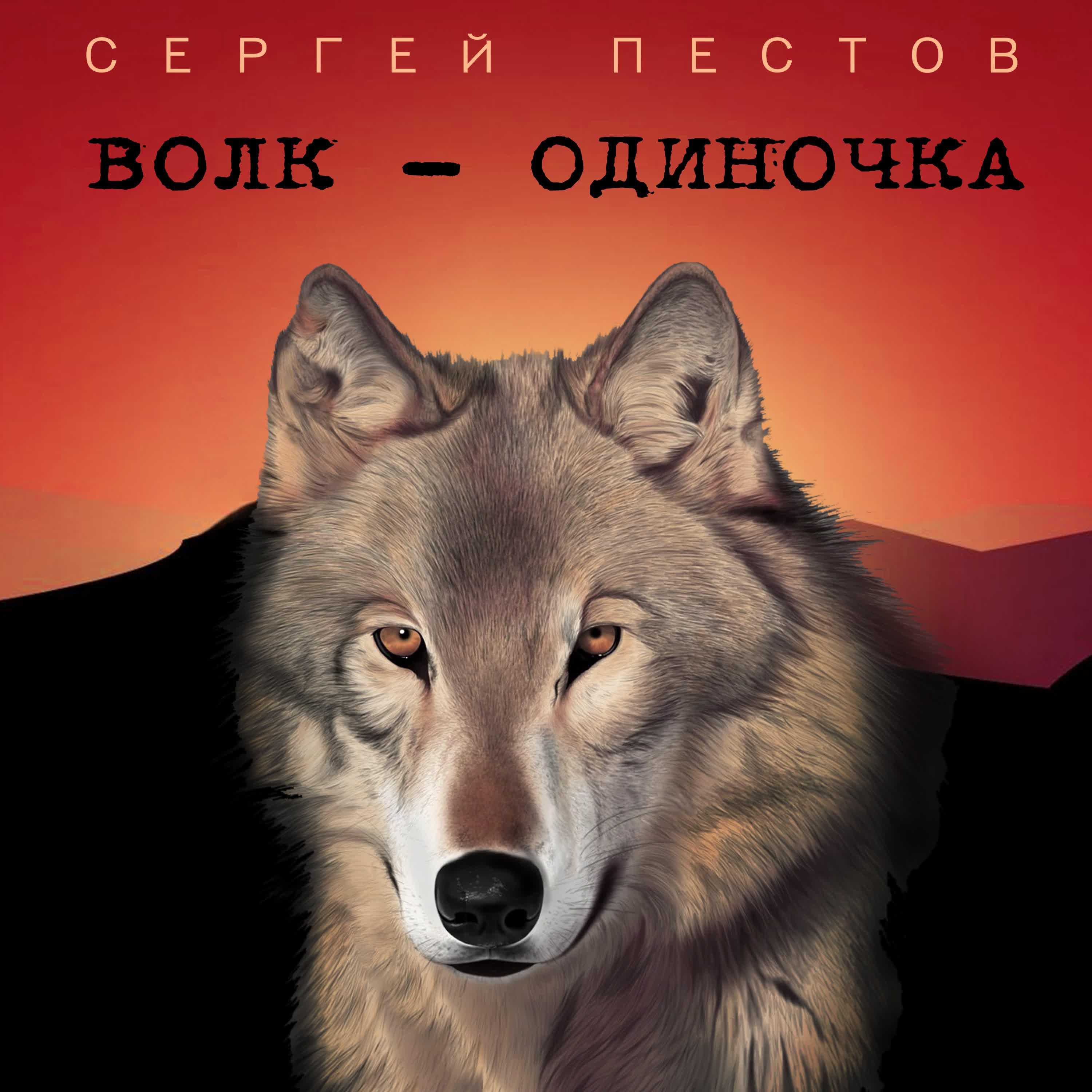 Релиз Волк-одиночка