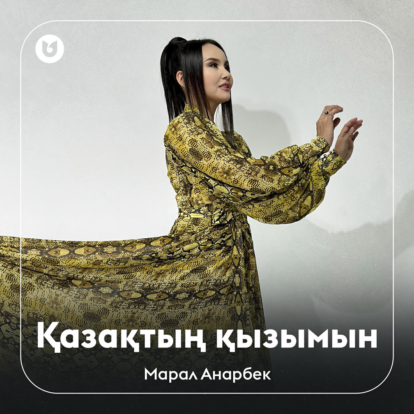 Постер альбома Қазақтың қызымын