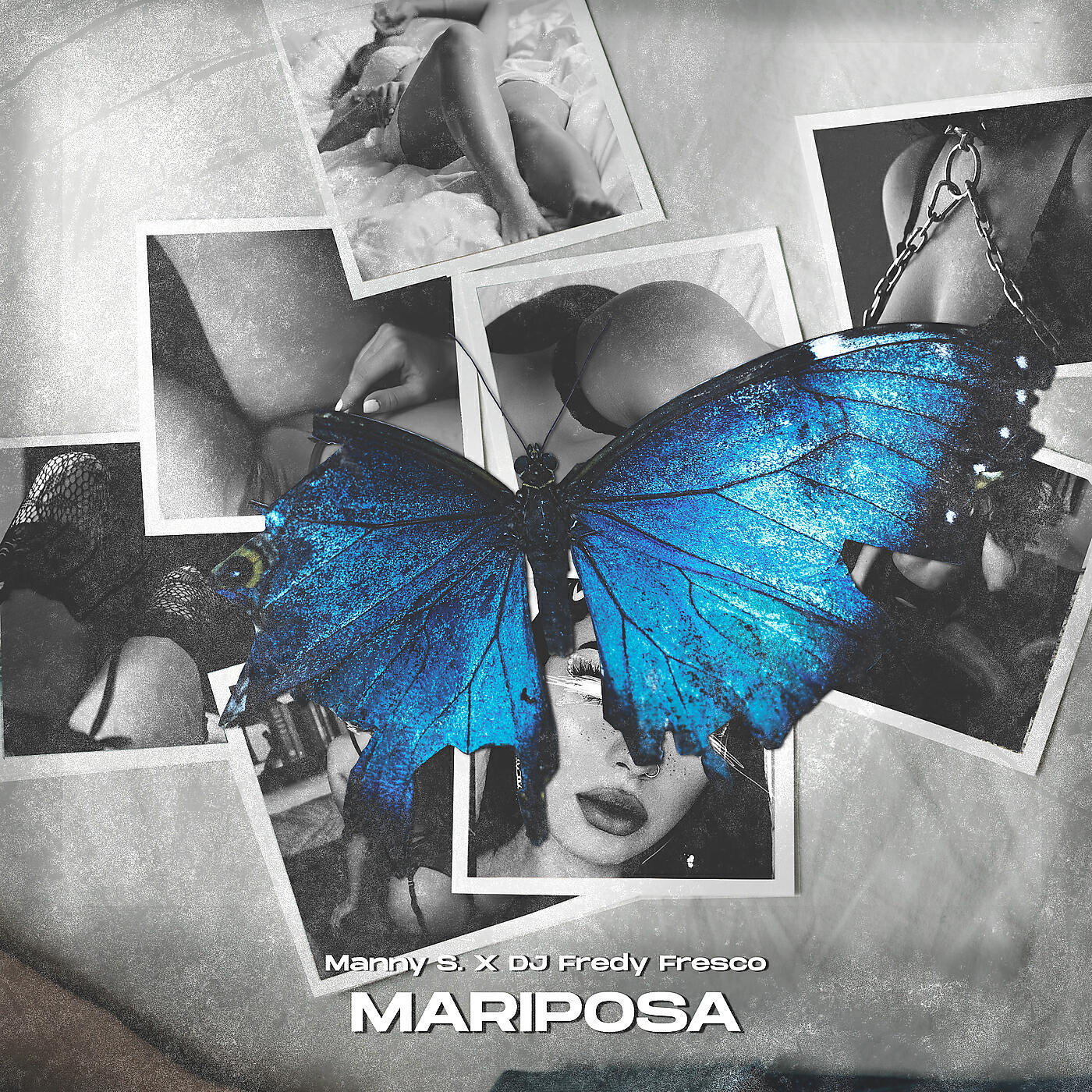 Релиз Mariposa