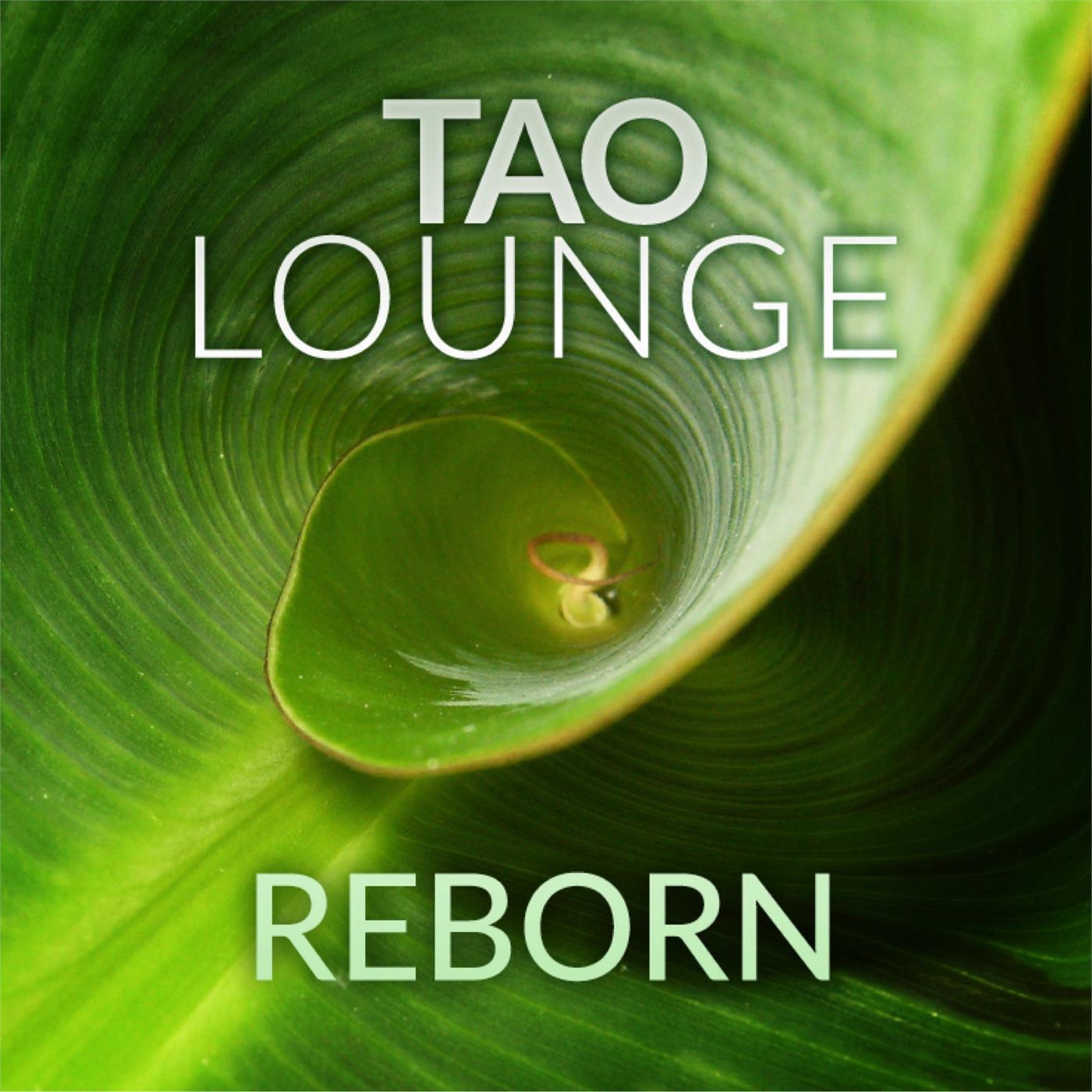 Релиз Reborn