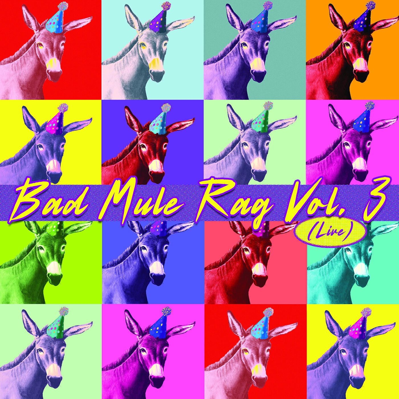 Релиз Bad Mule Rag, Vol. 3 (Live)