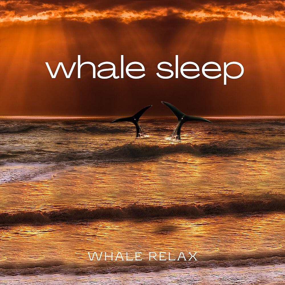 Whale Relax