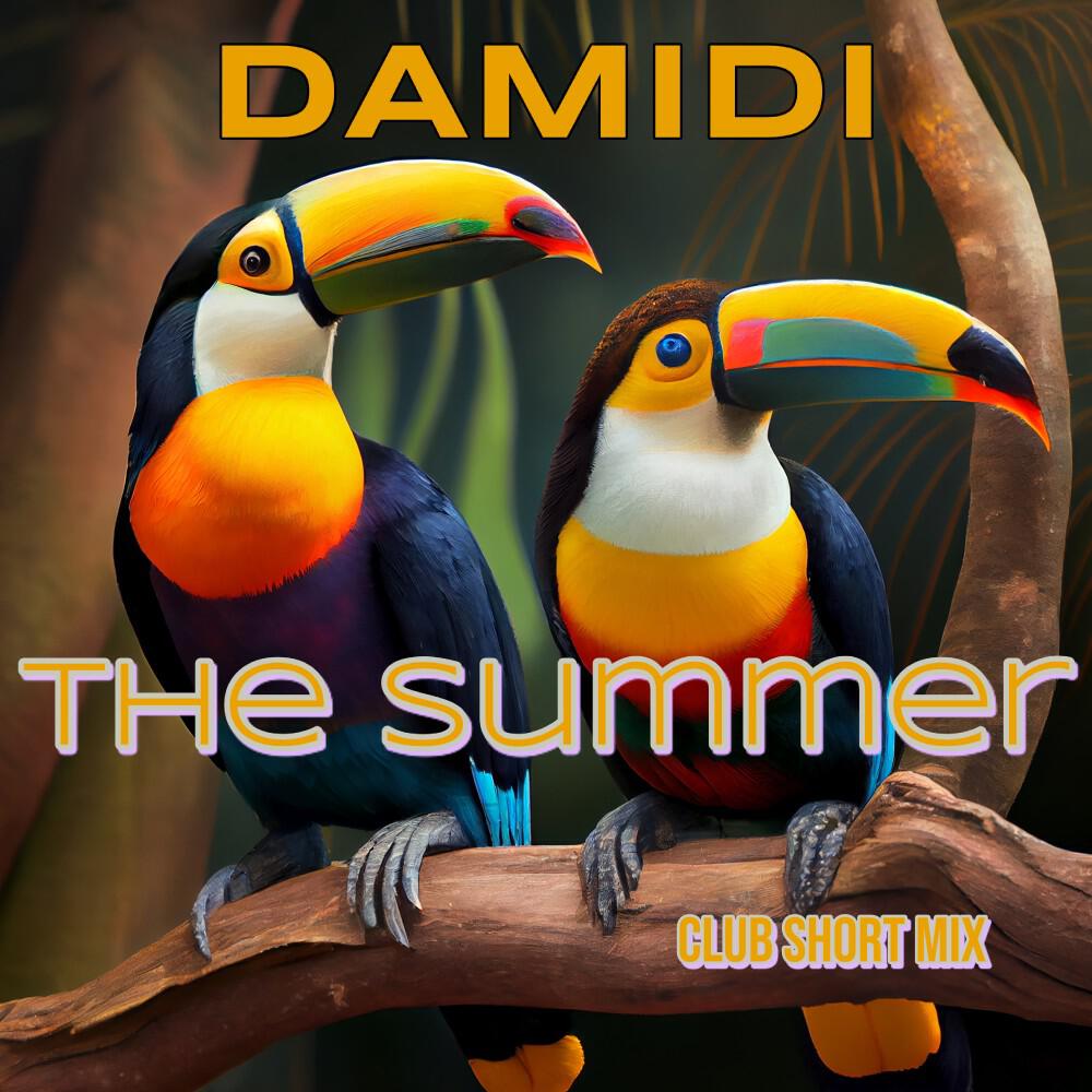 Damidi