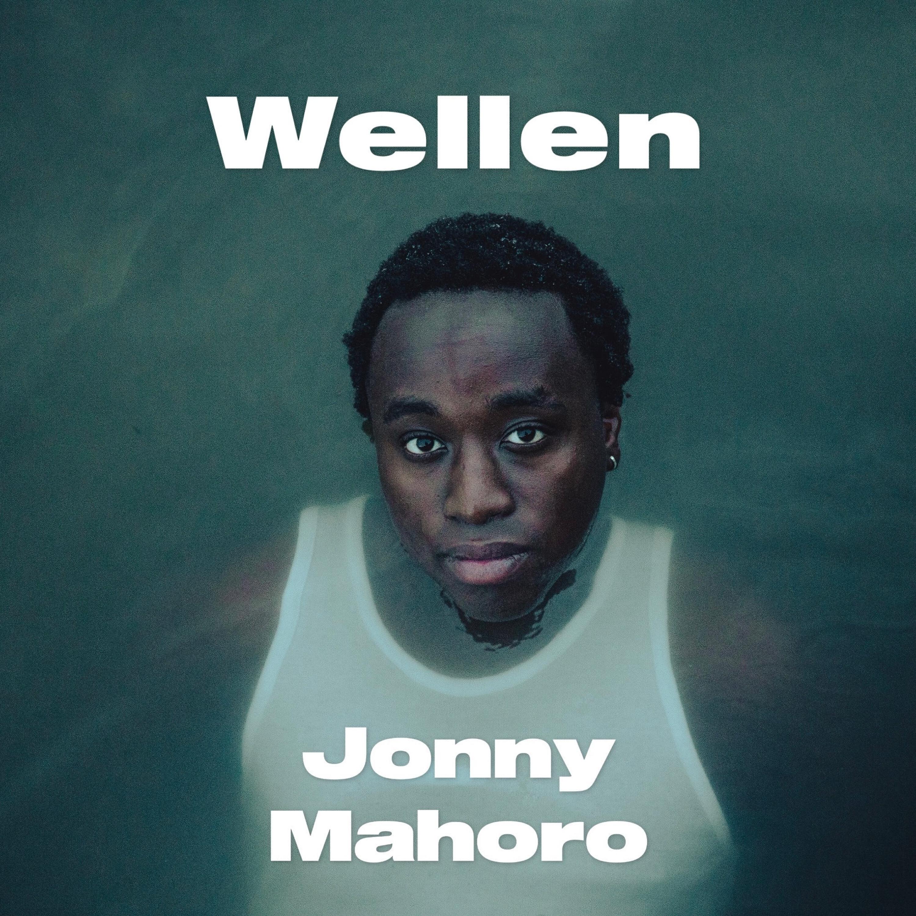 Релиз Wellen