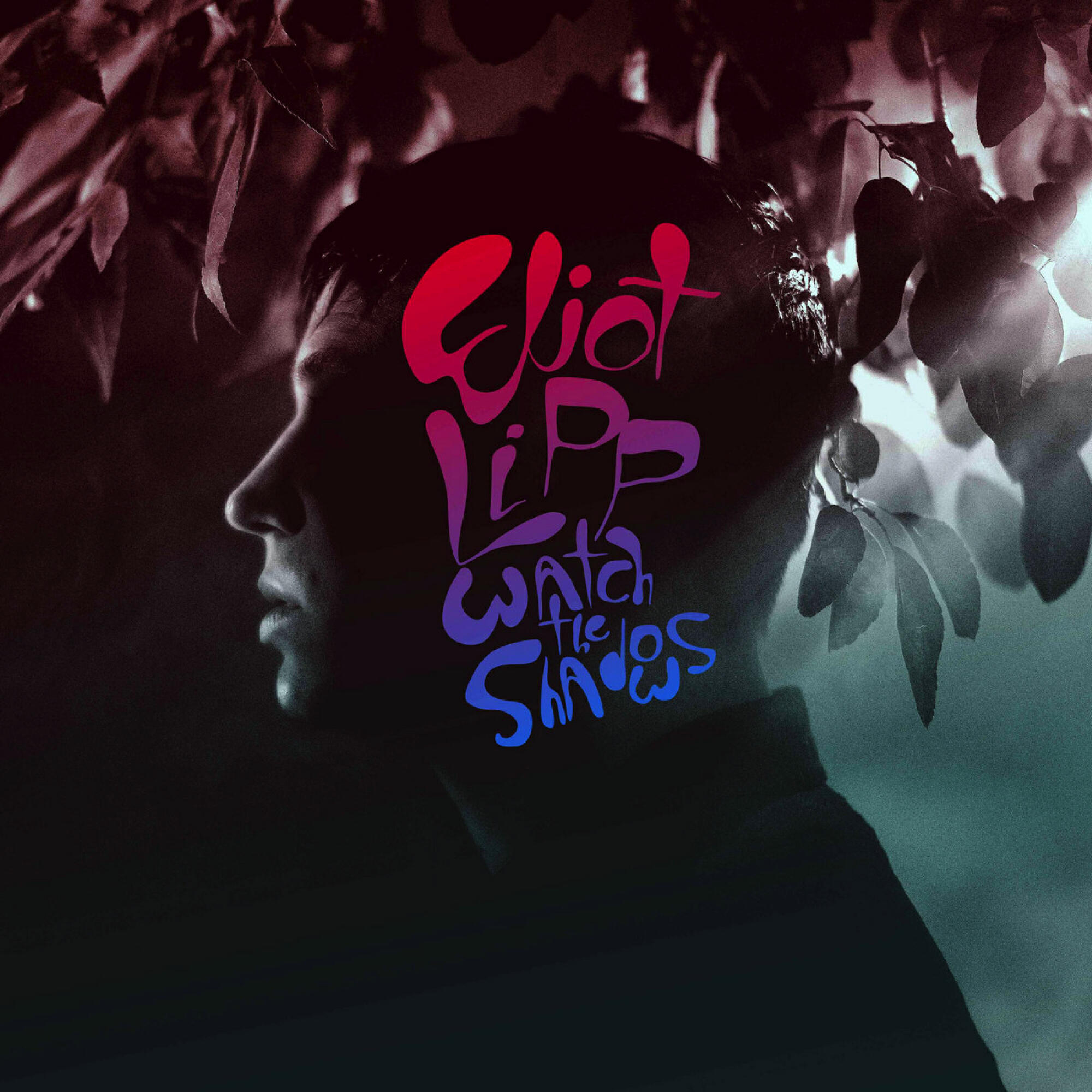 Релиз Watch the Shadows