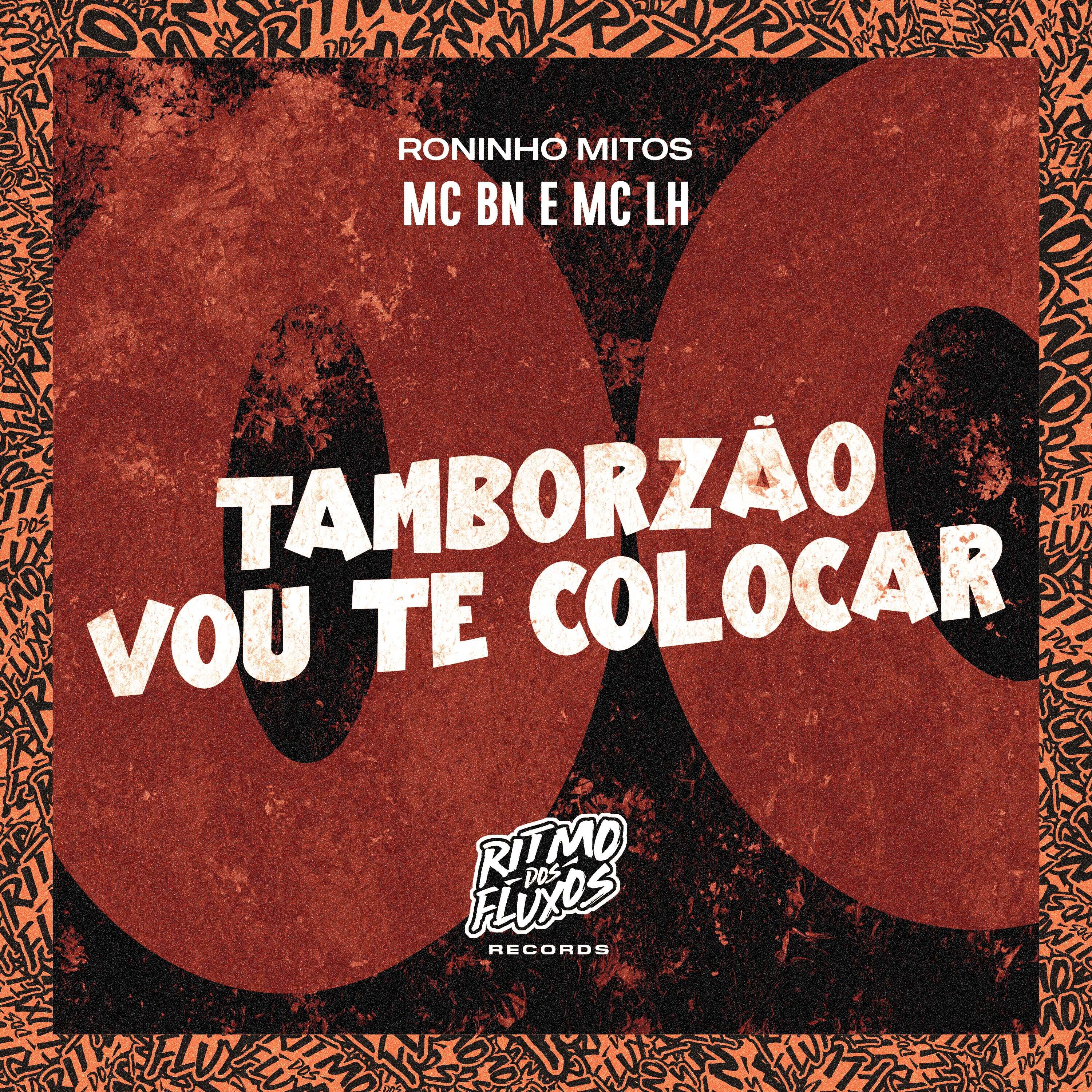 Скачать песню MC BN, Mc LH, Roninho Mitos - Tamborzão Vou Te Colocar бесплатно в MP3 для Android и iOS