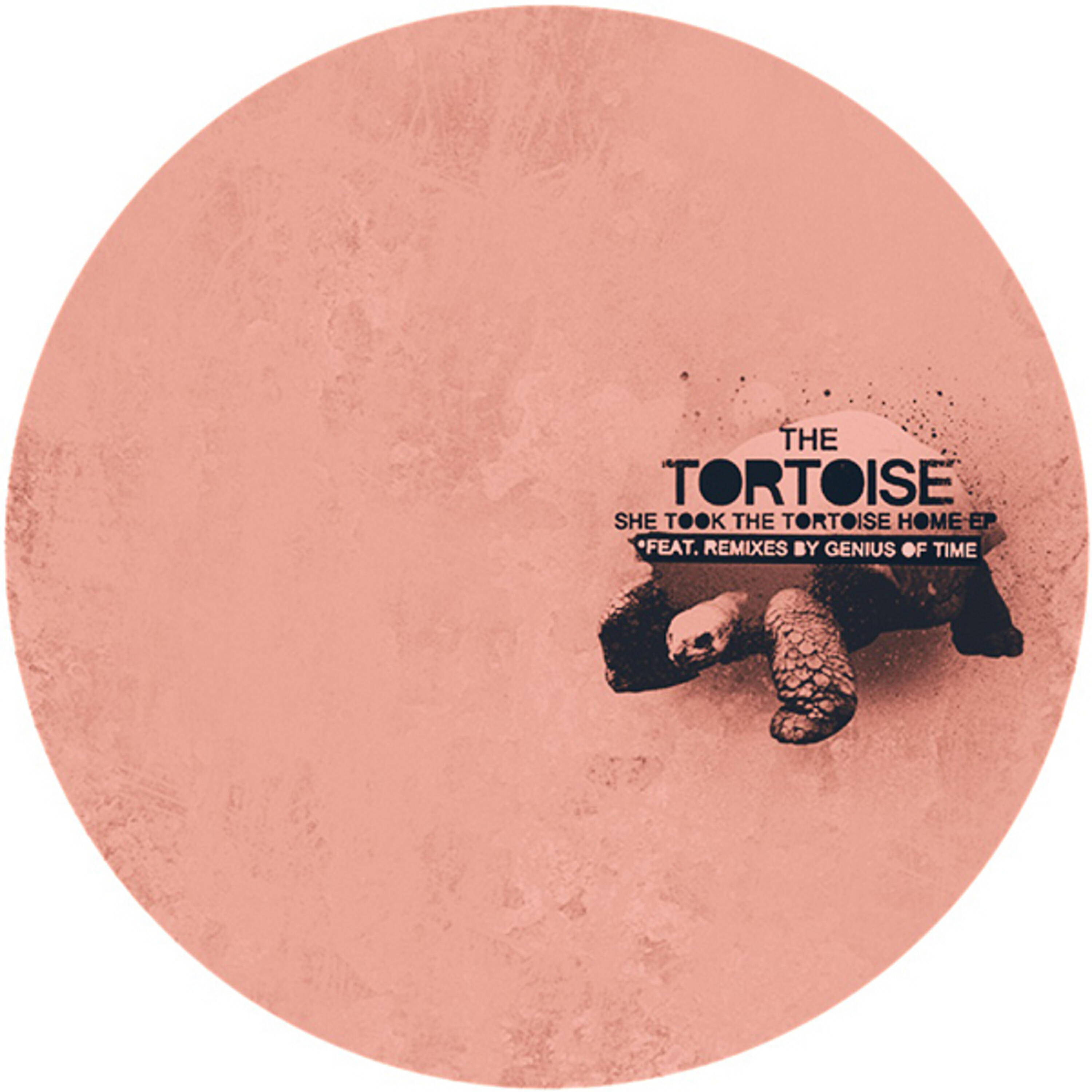 Релиз She Took the Tortoise Home Remastered