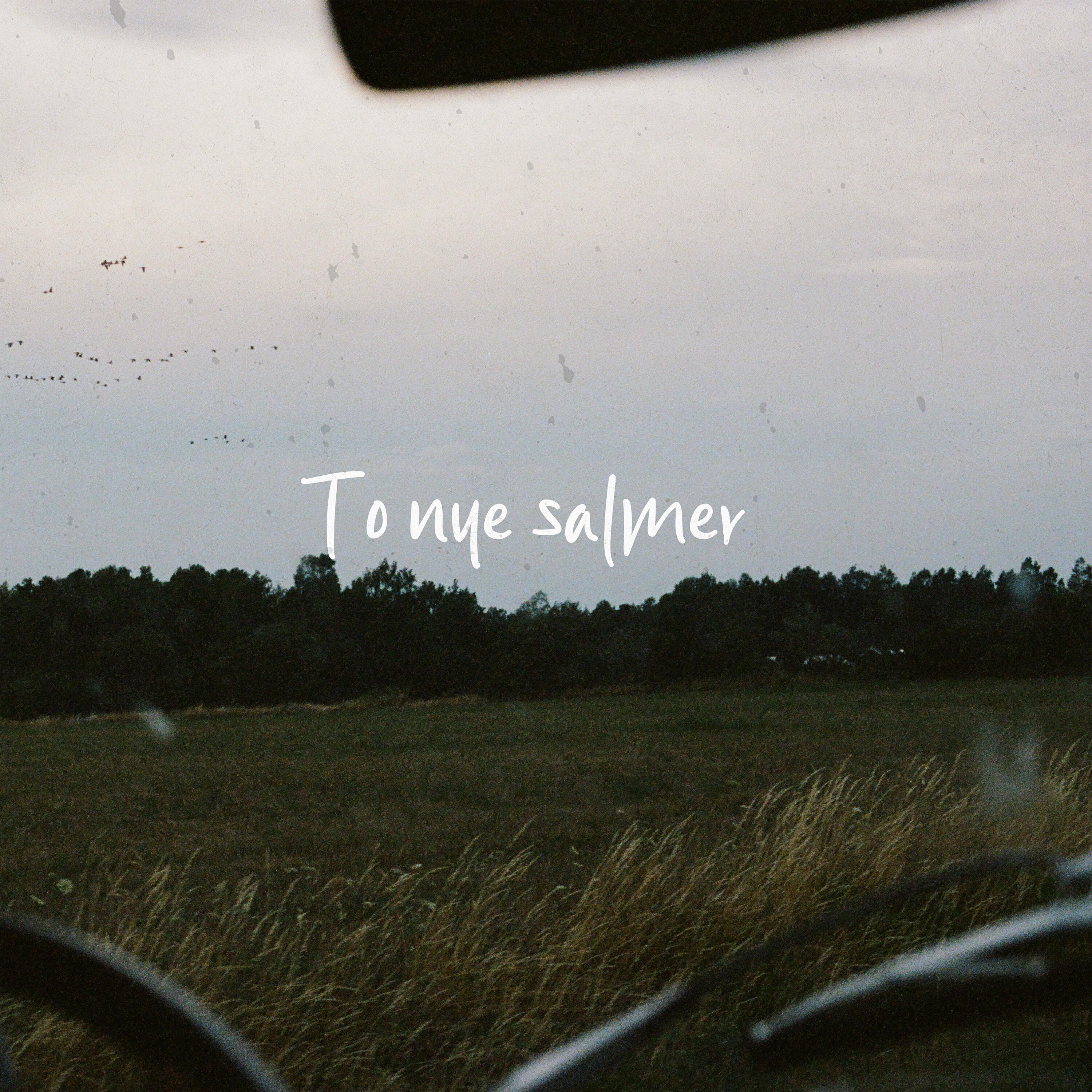 Релиз To nye salmer