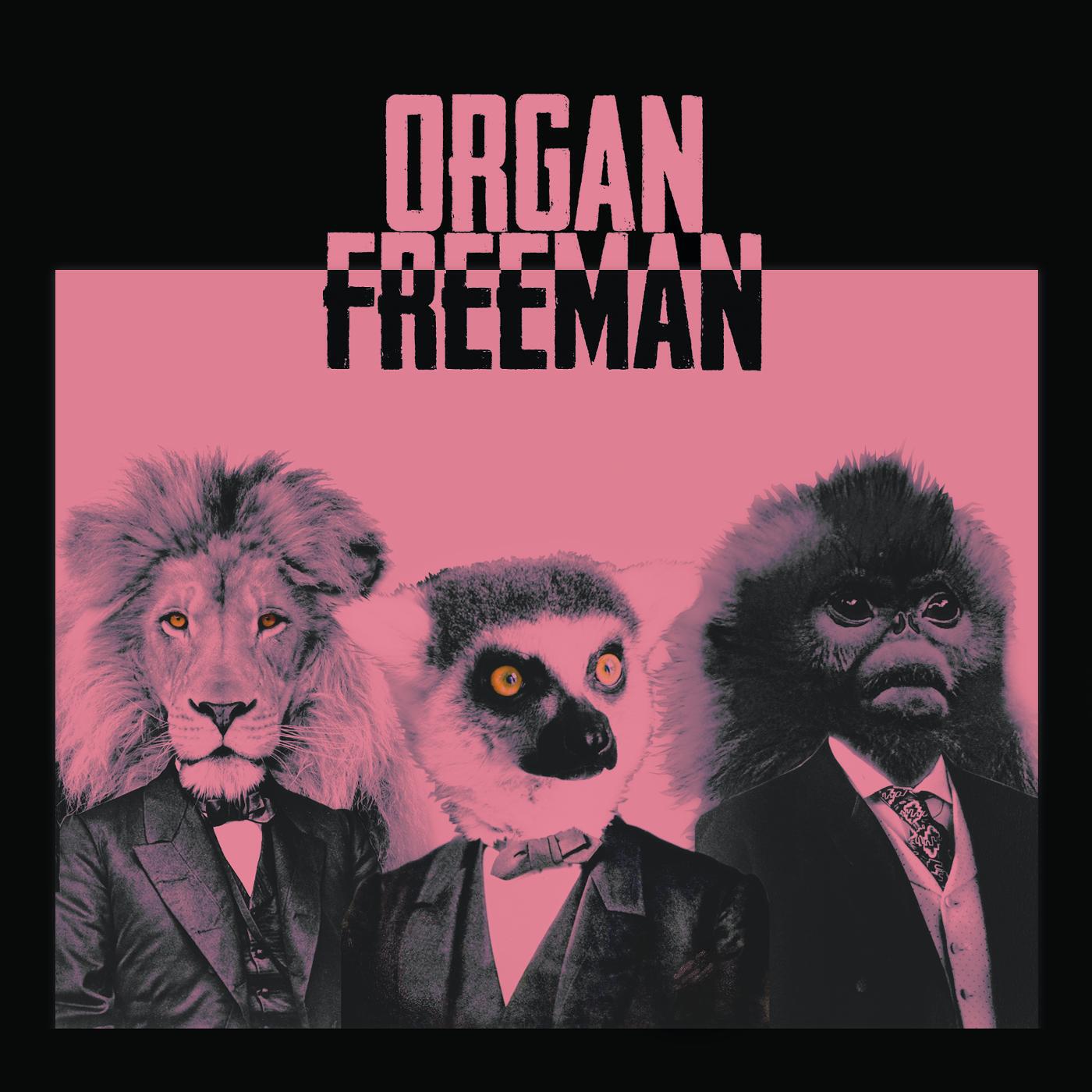 Релиз Organ Freeman
