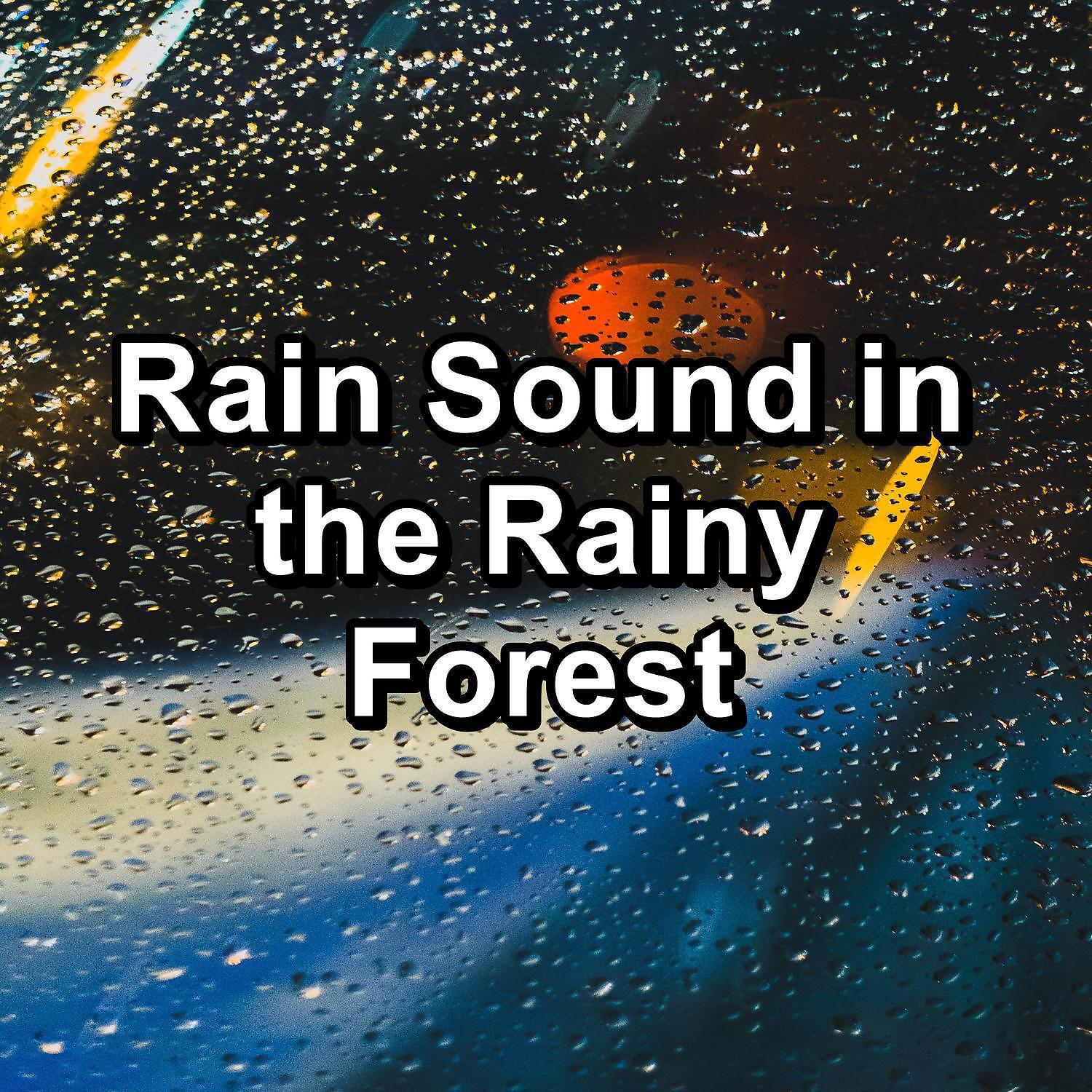 Релиз Rain Sound in the Rainy Forest