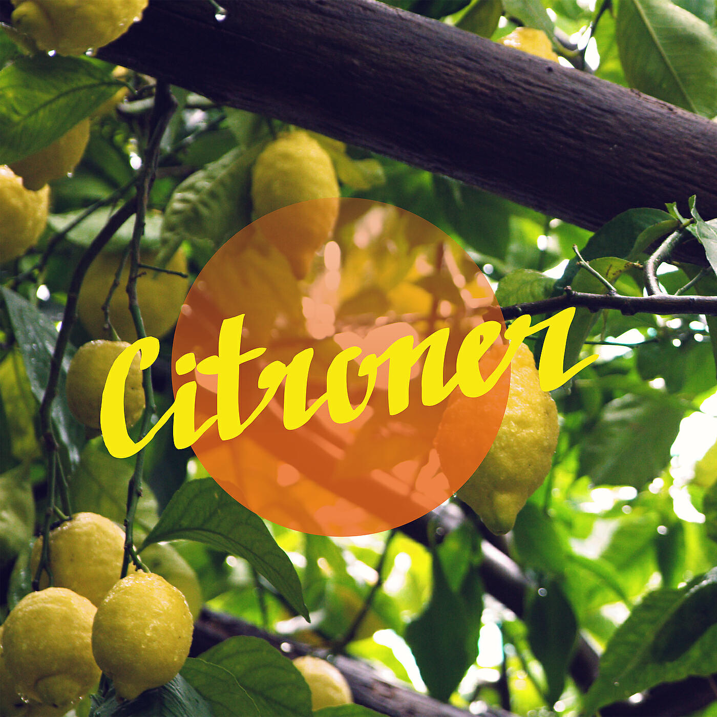 Релиз Citroner