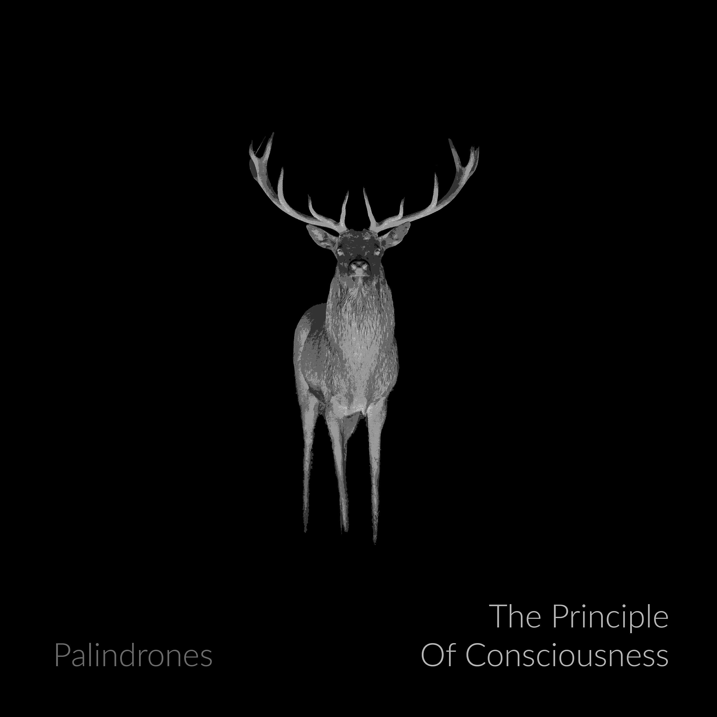 Релиз The Principle of Consciousness