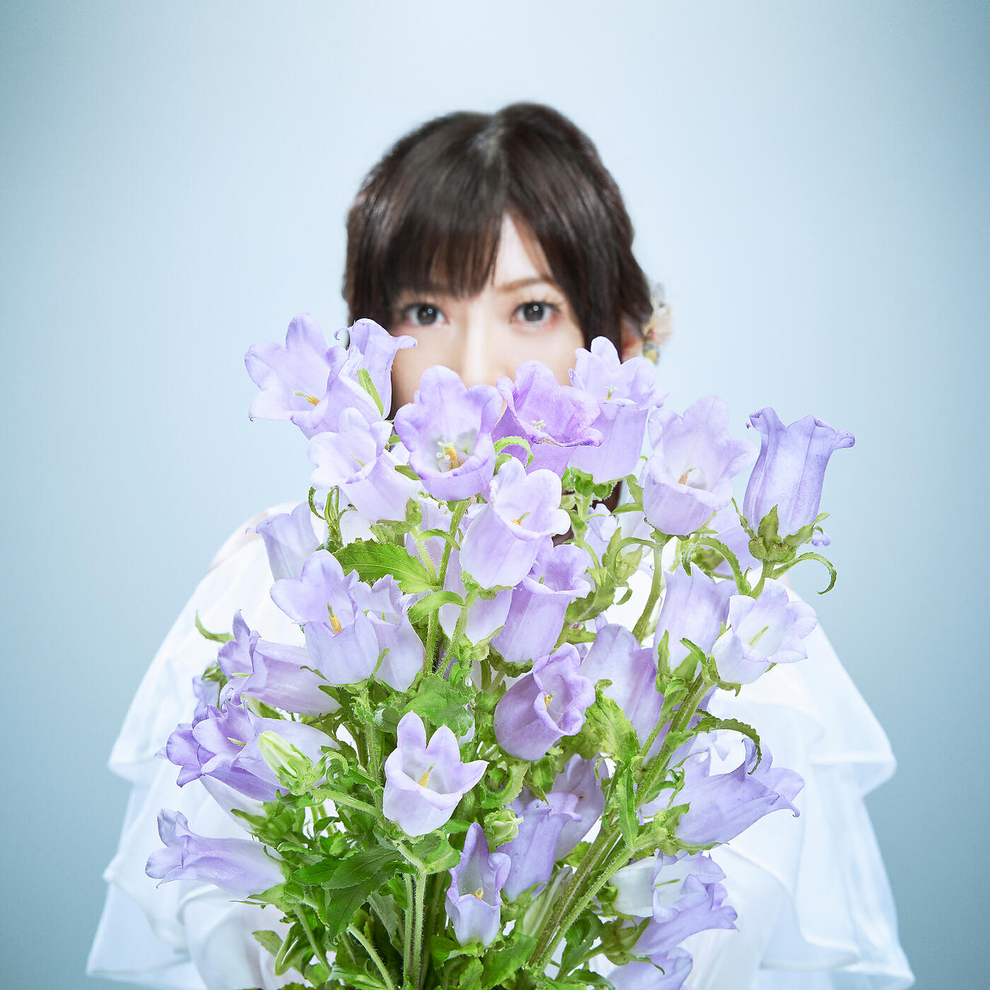 Релиз Campanula