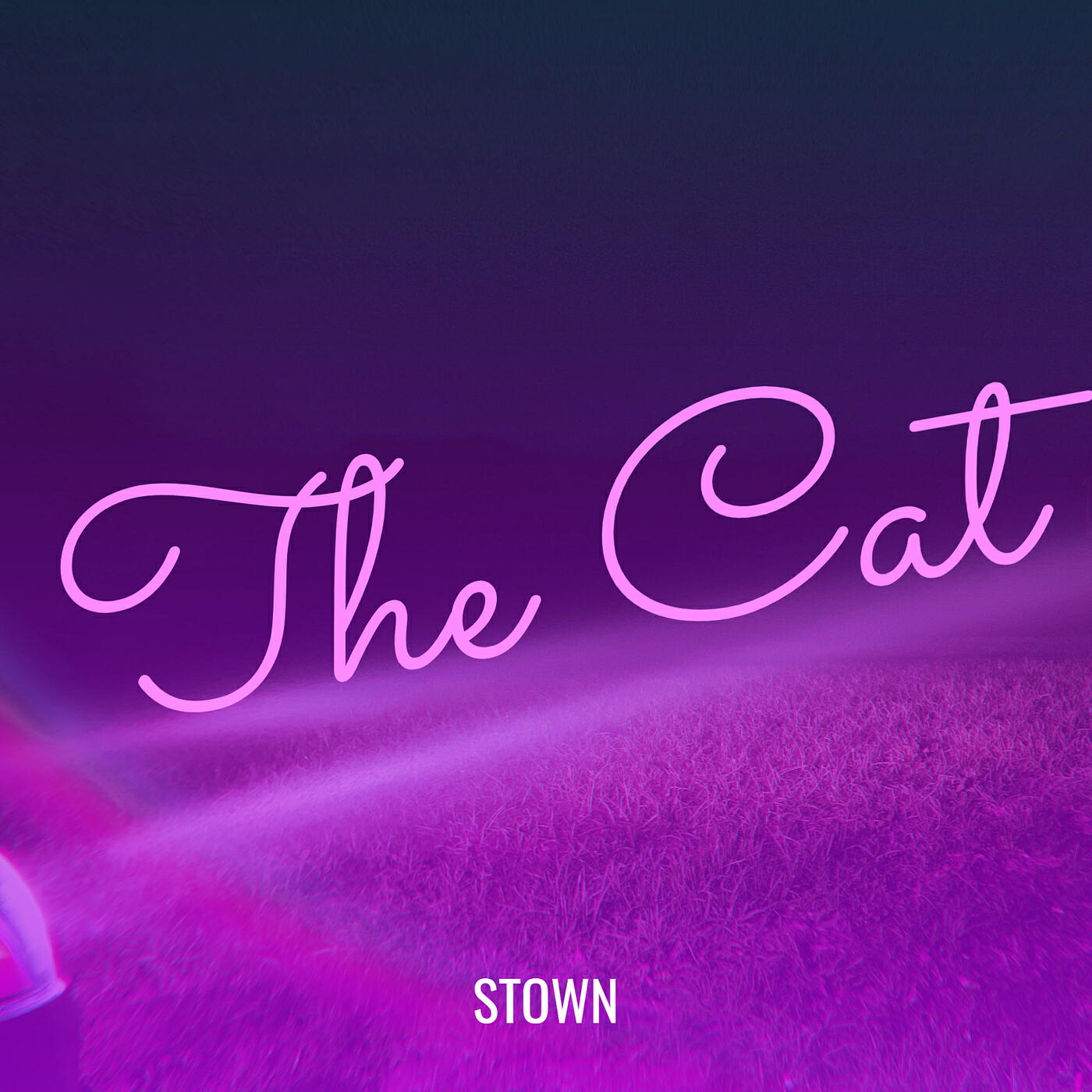 Релиз The Cat