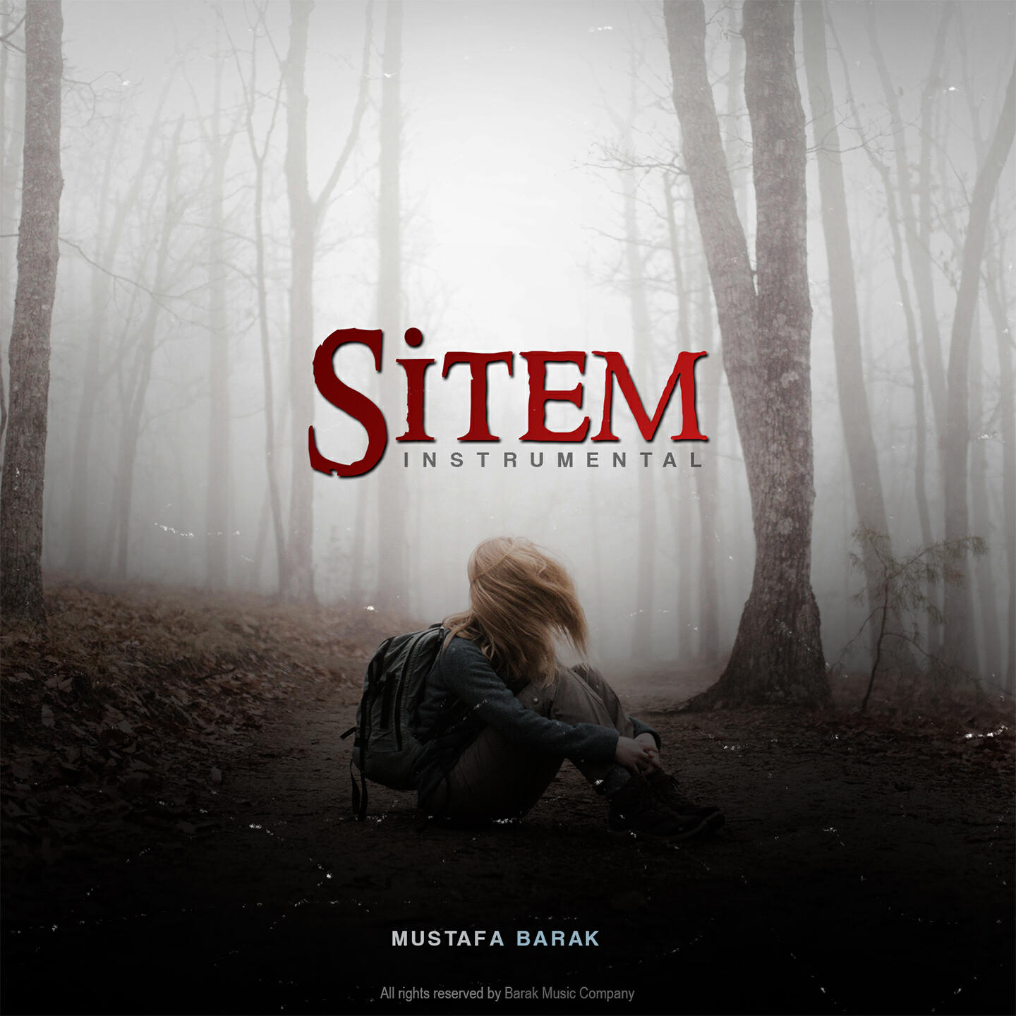 Релиз Sitem