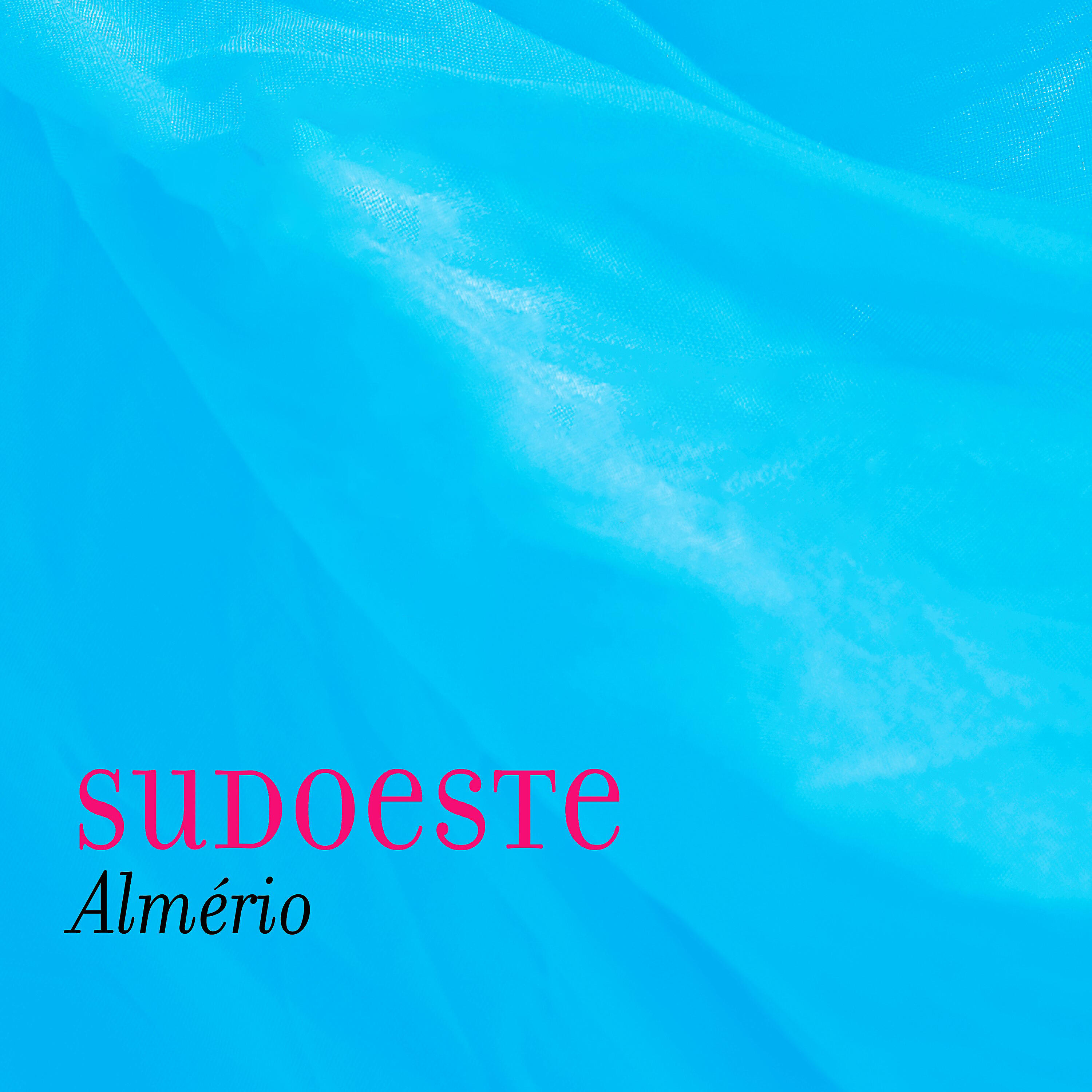 Релиз Sudoeste
