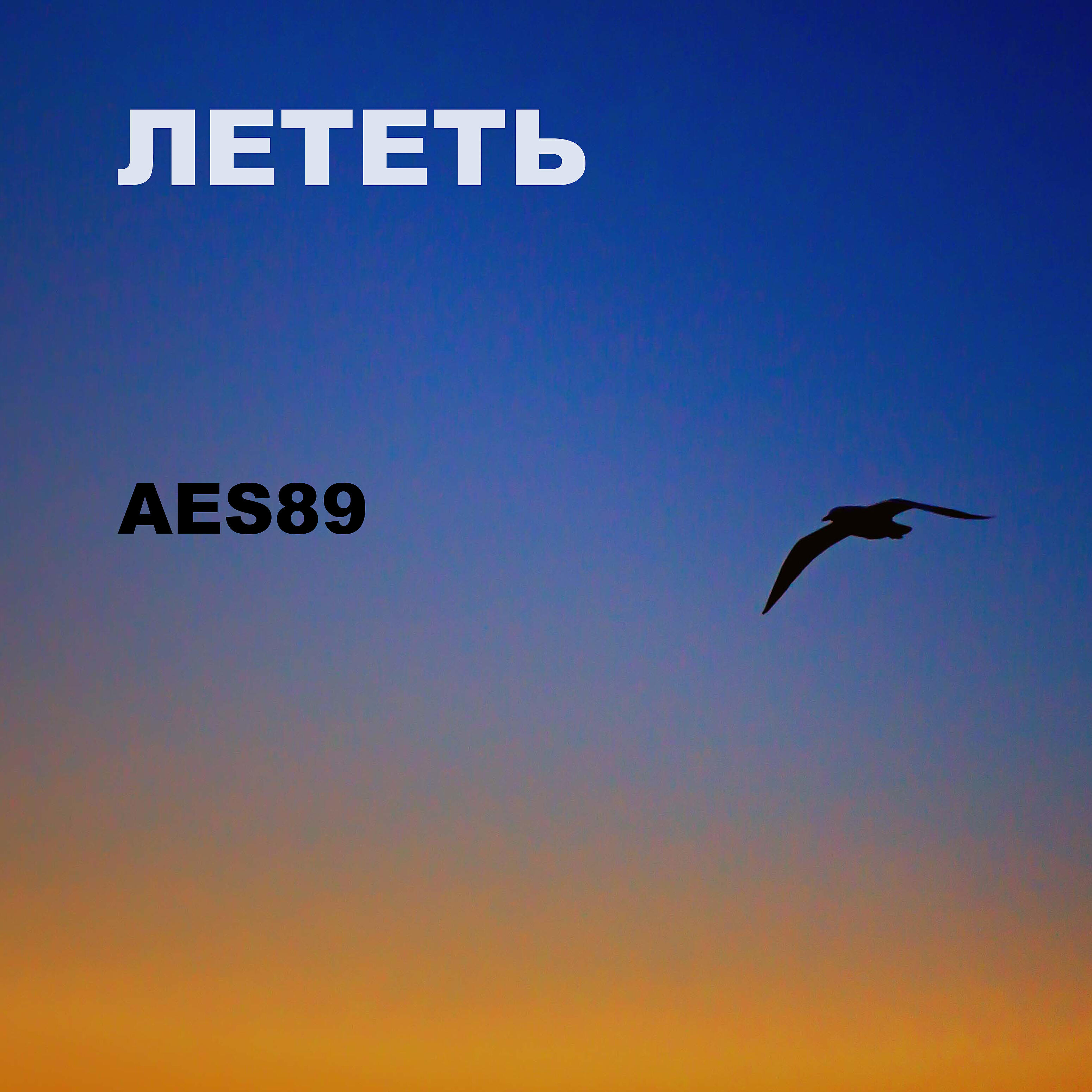 АES89